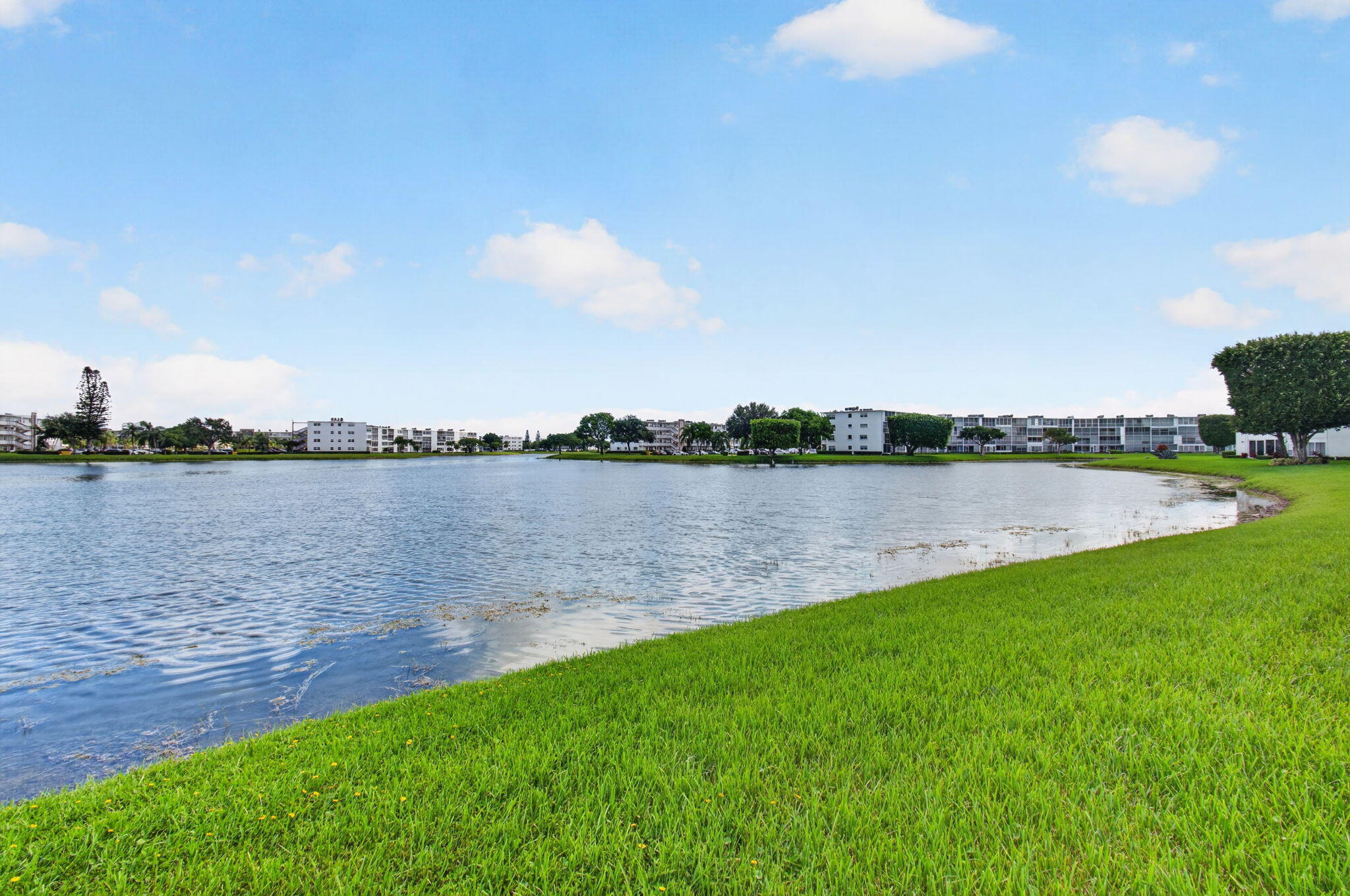 66-web-or-mls-DSC_0720