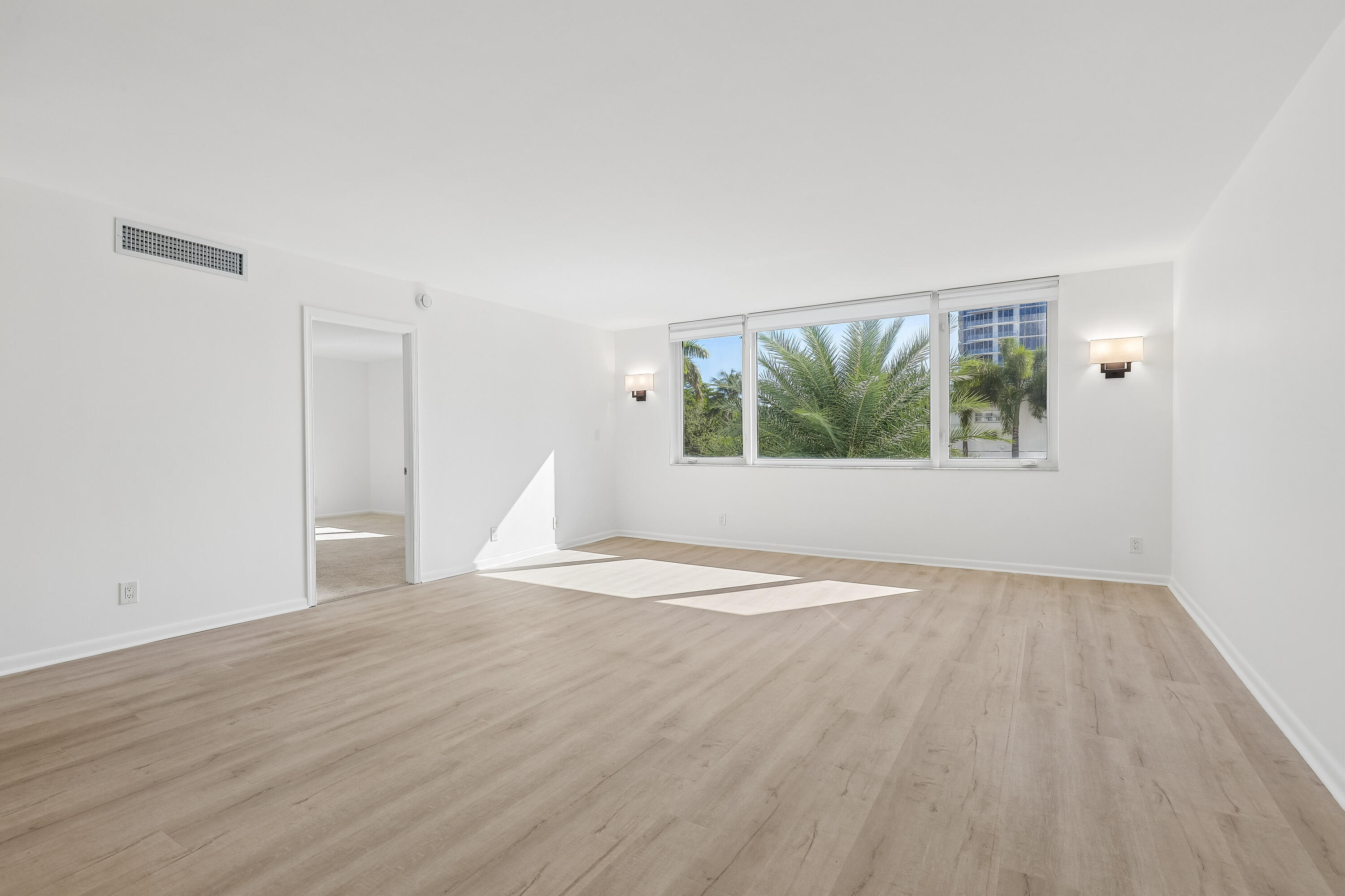 Beautiful palm in front of the window.