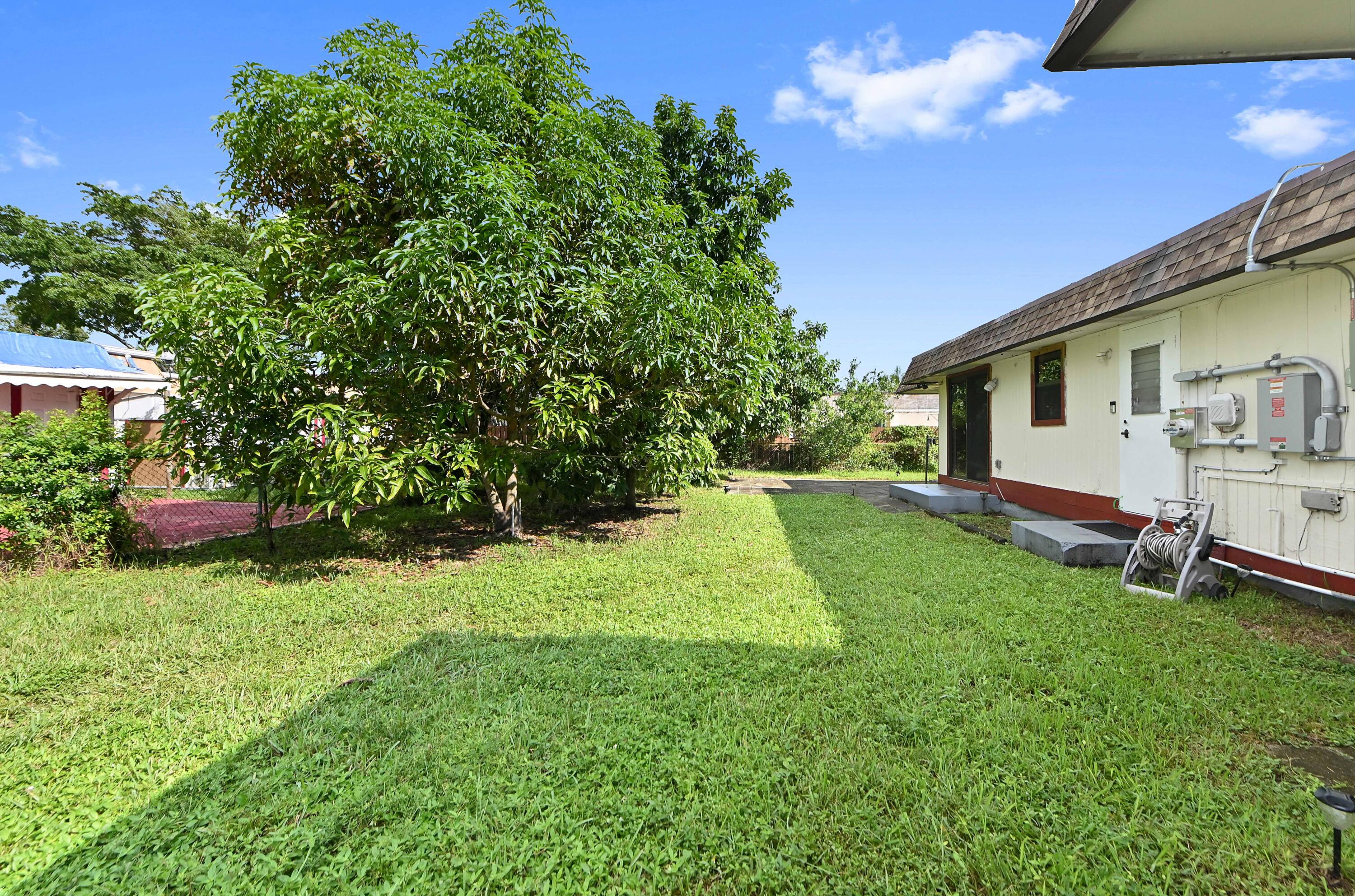 22 backyard 01