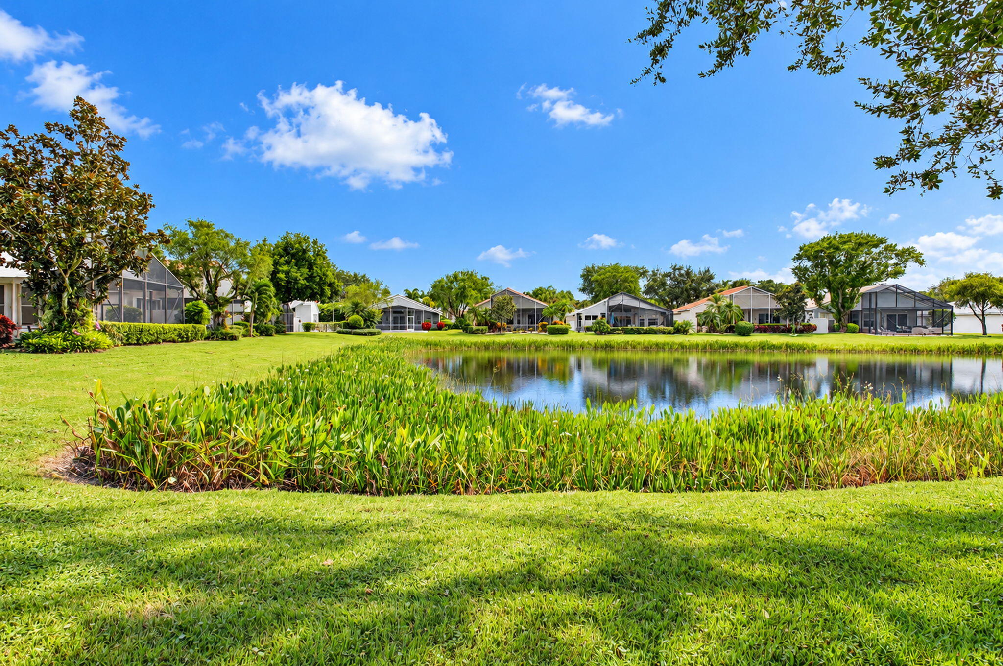 37-web-or-mls-DSC_7141