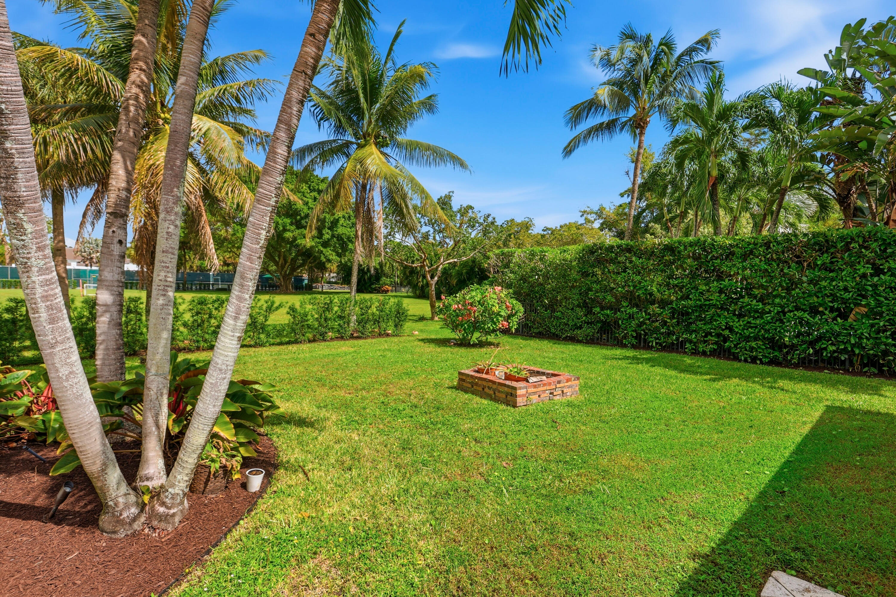 Backyard featuring a manicured lawn, perimeter privacy hedge, mature palm trees, and a brick-bordered garden bed