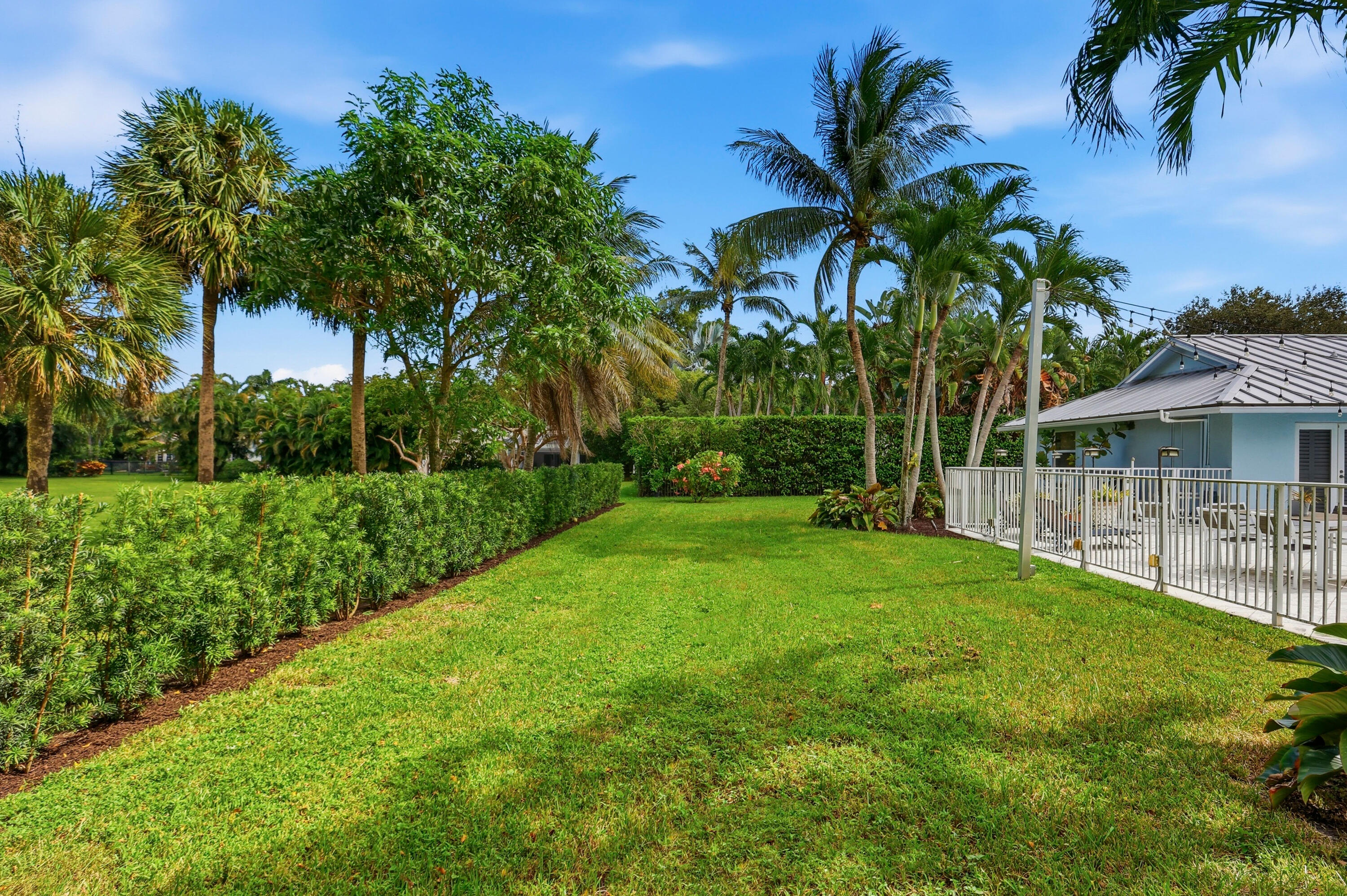 Spacious lawn featuring mature palm trees, manicured hedges, and a fenced pool area with a metal roof structure