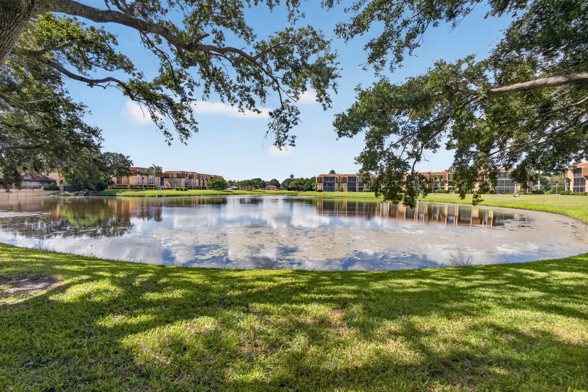 Neighborhood View