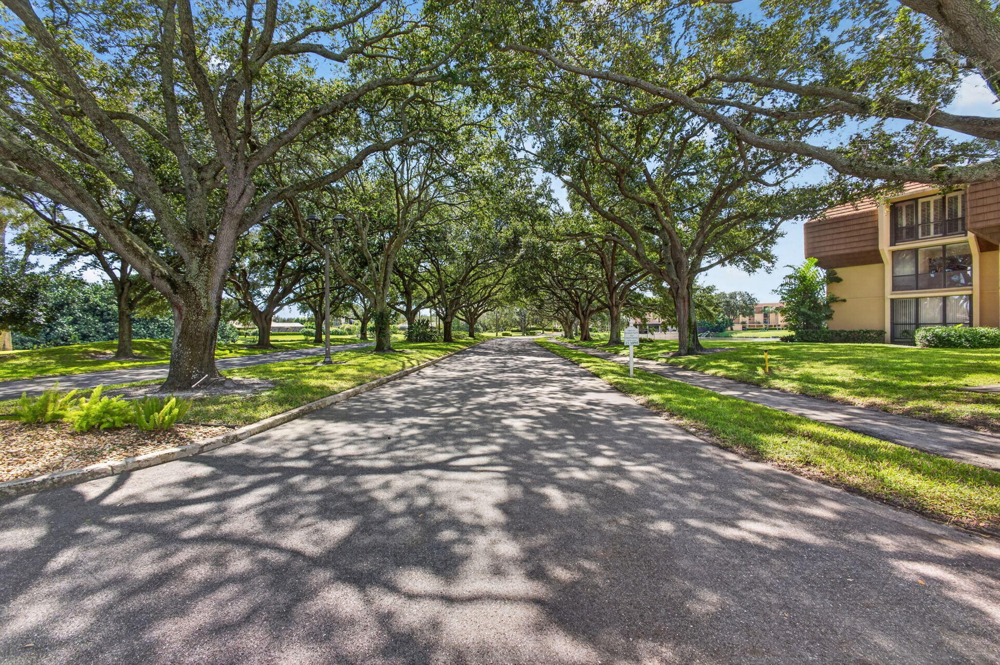 Tree-lined Streets
