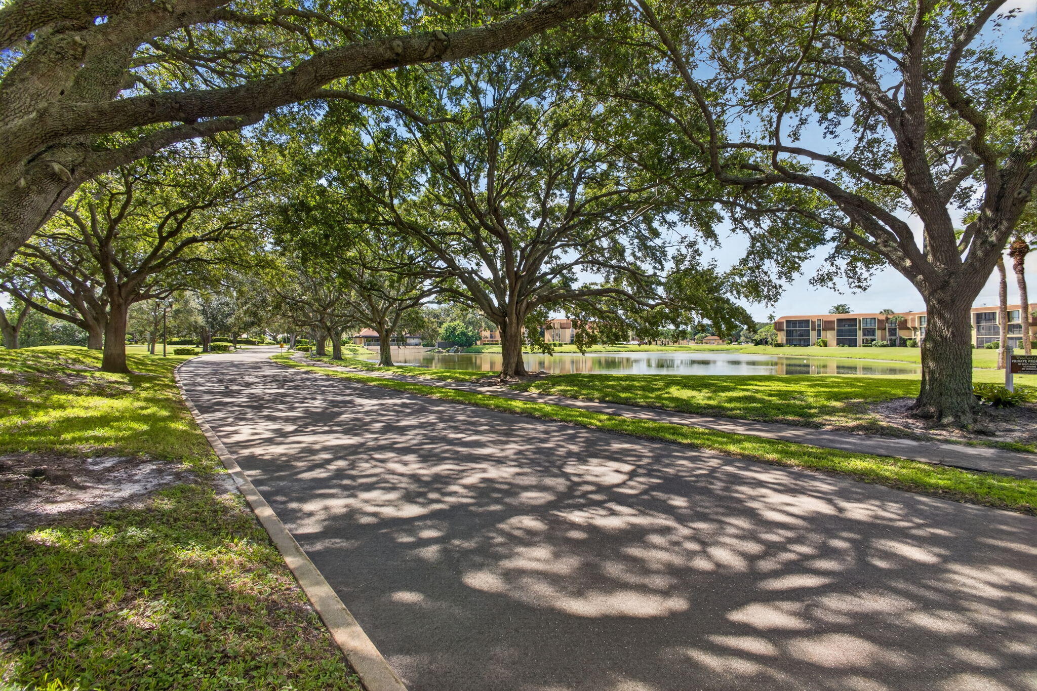 Tree-lined streets