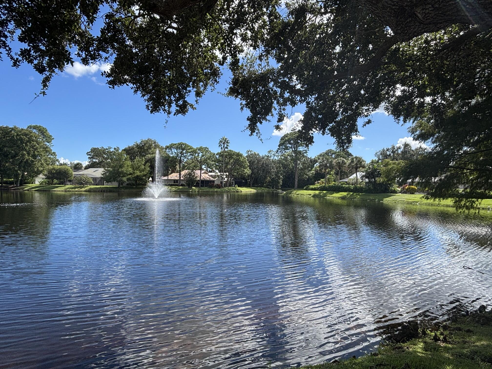 Lake 4