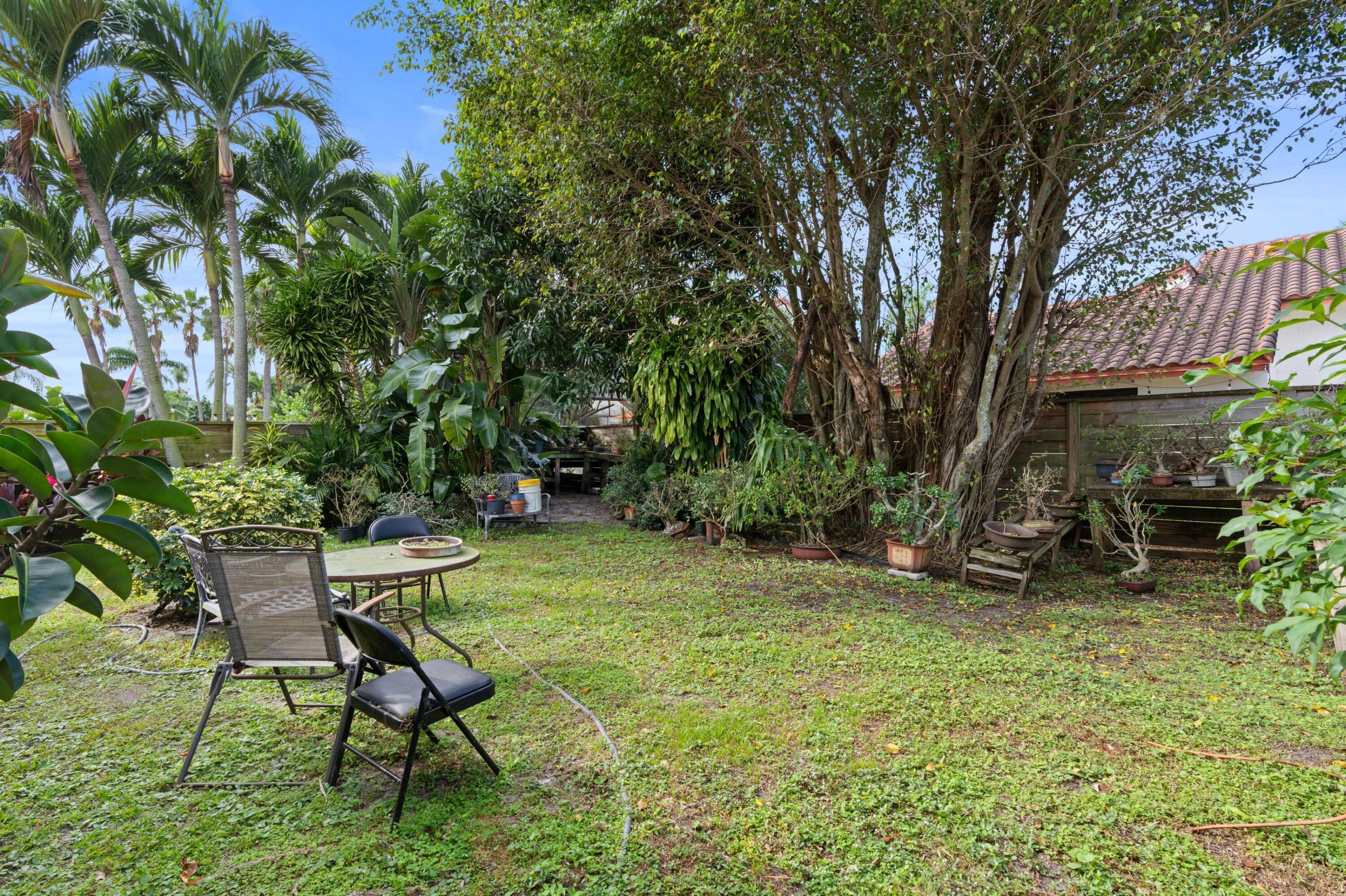 Backyard View #2