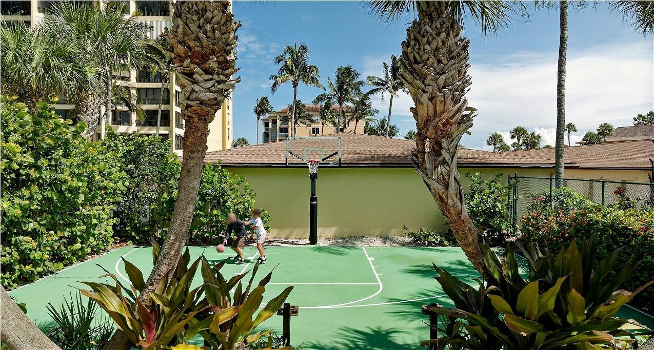 BASKETBALL COURT
