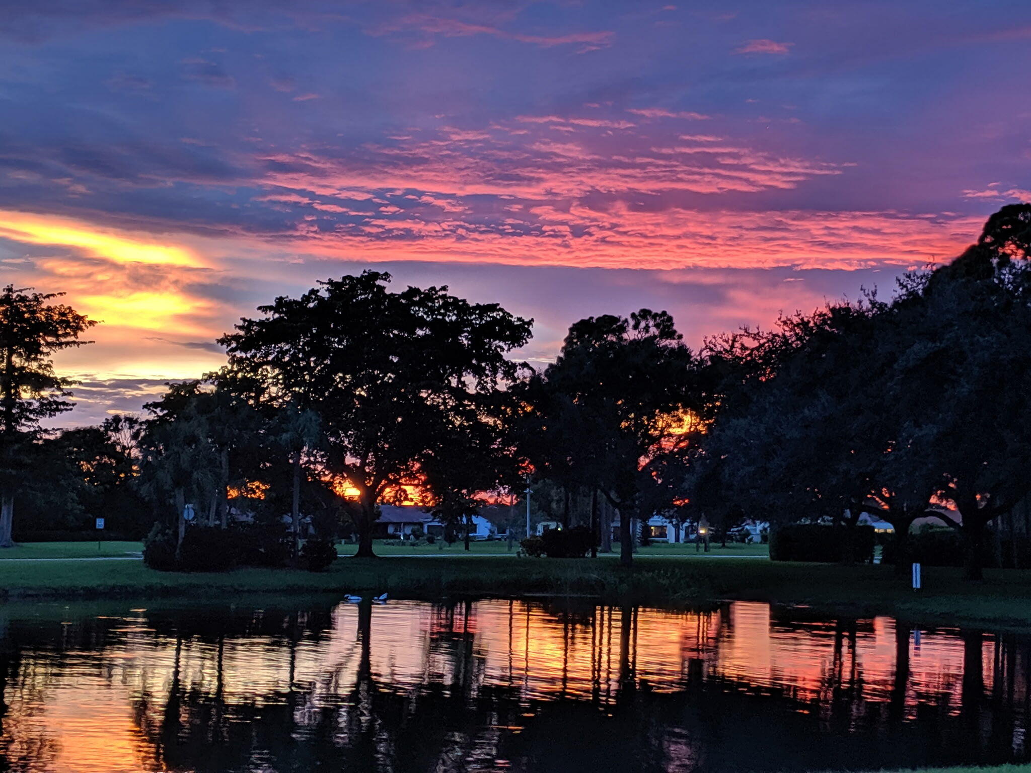 Sunset view from backyard