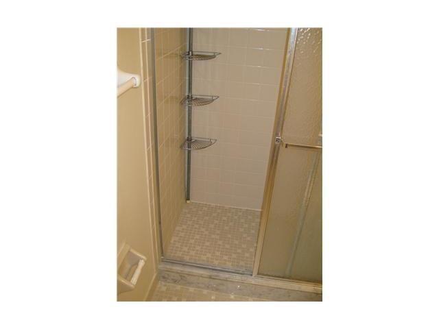 GUEST BATH SHOWER