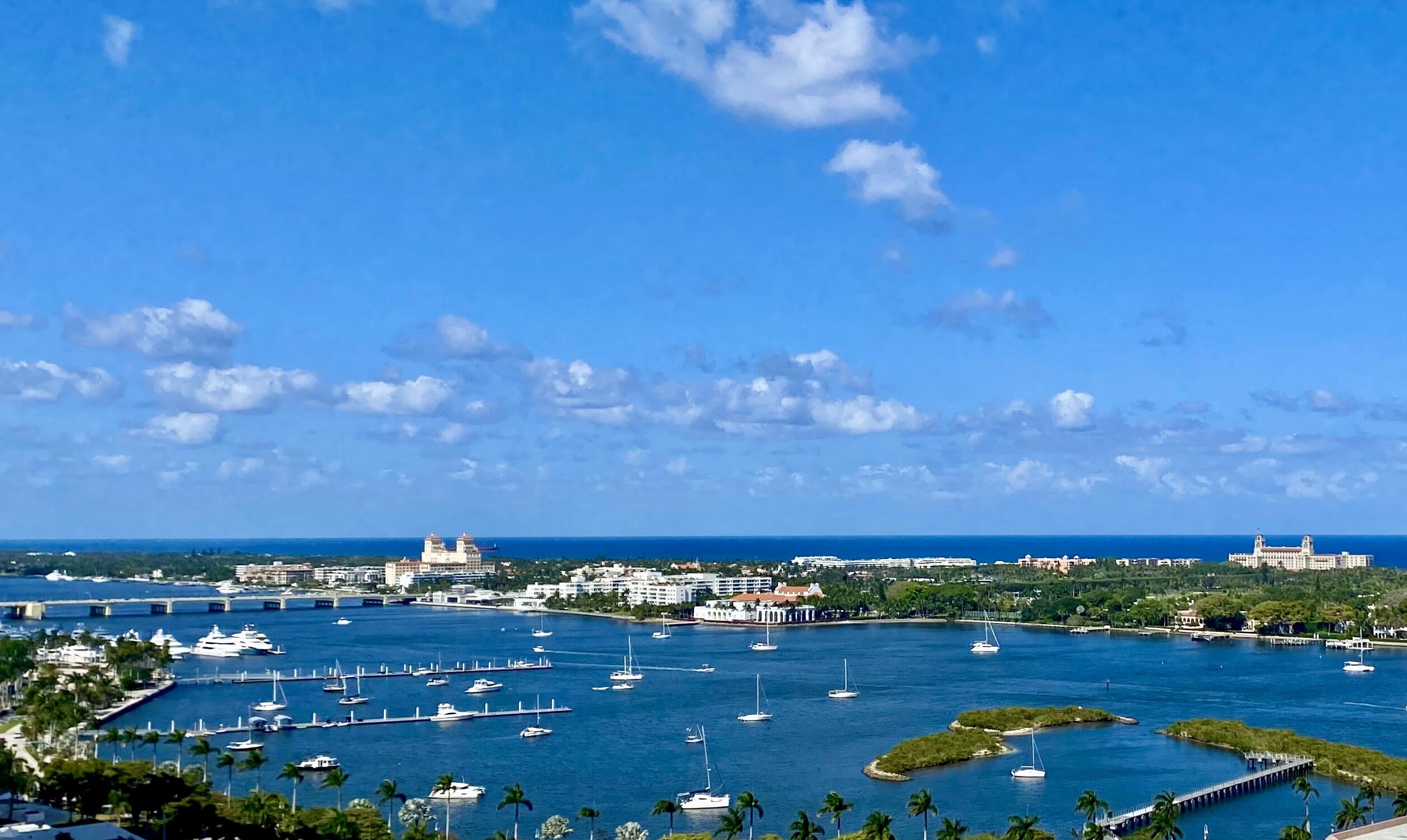 View from Rooftop Pool.