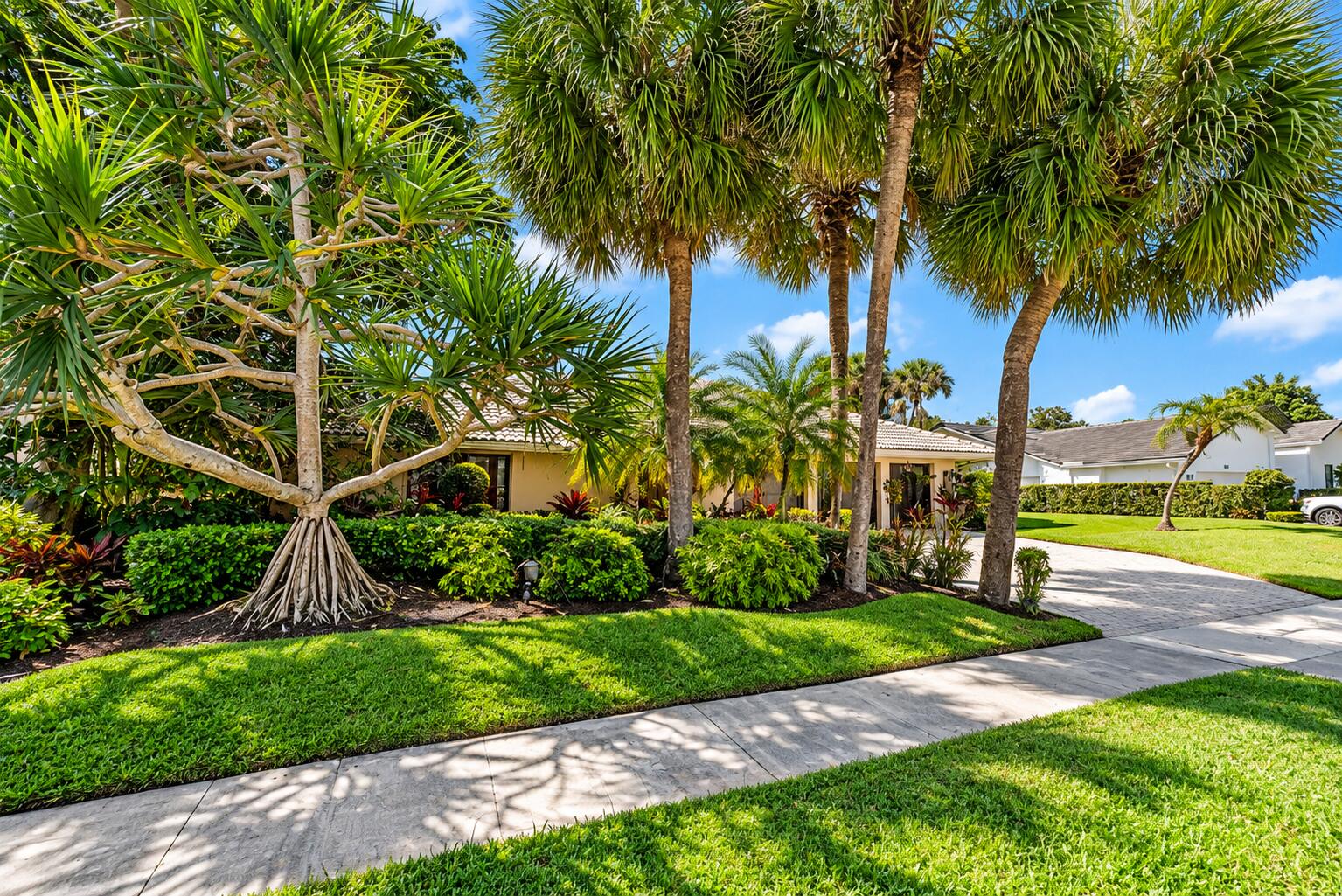 002-16821RoseAppleDrive