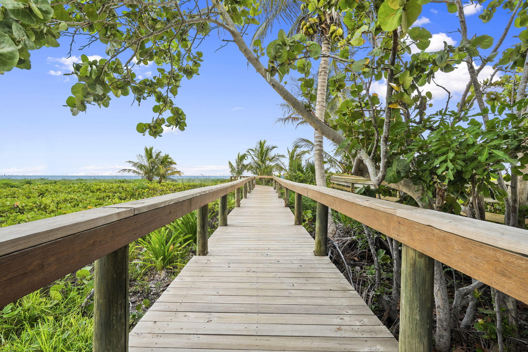 7-web-or-mls-DSC02498