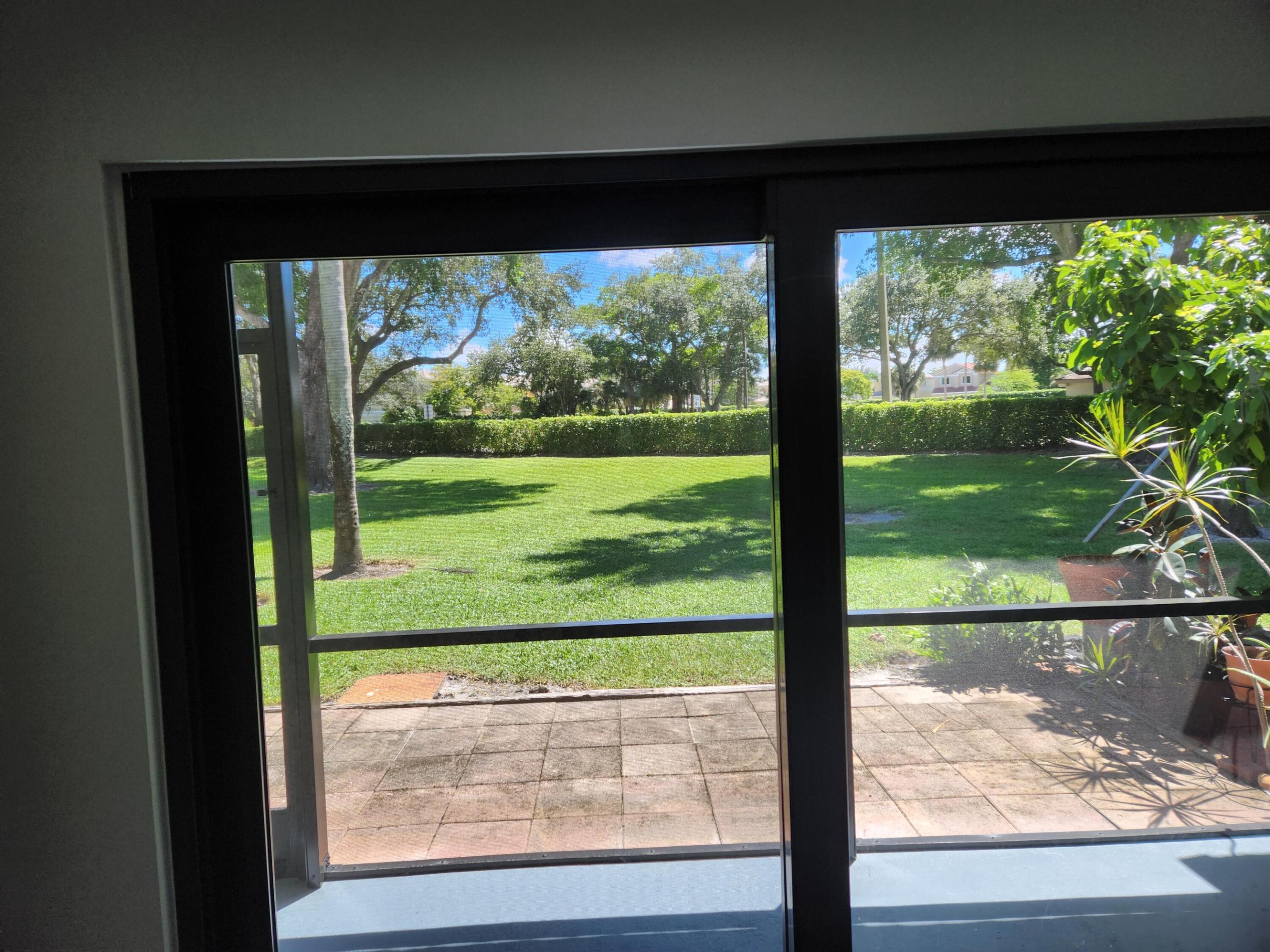 garden view from back room.