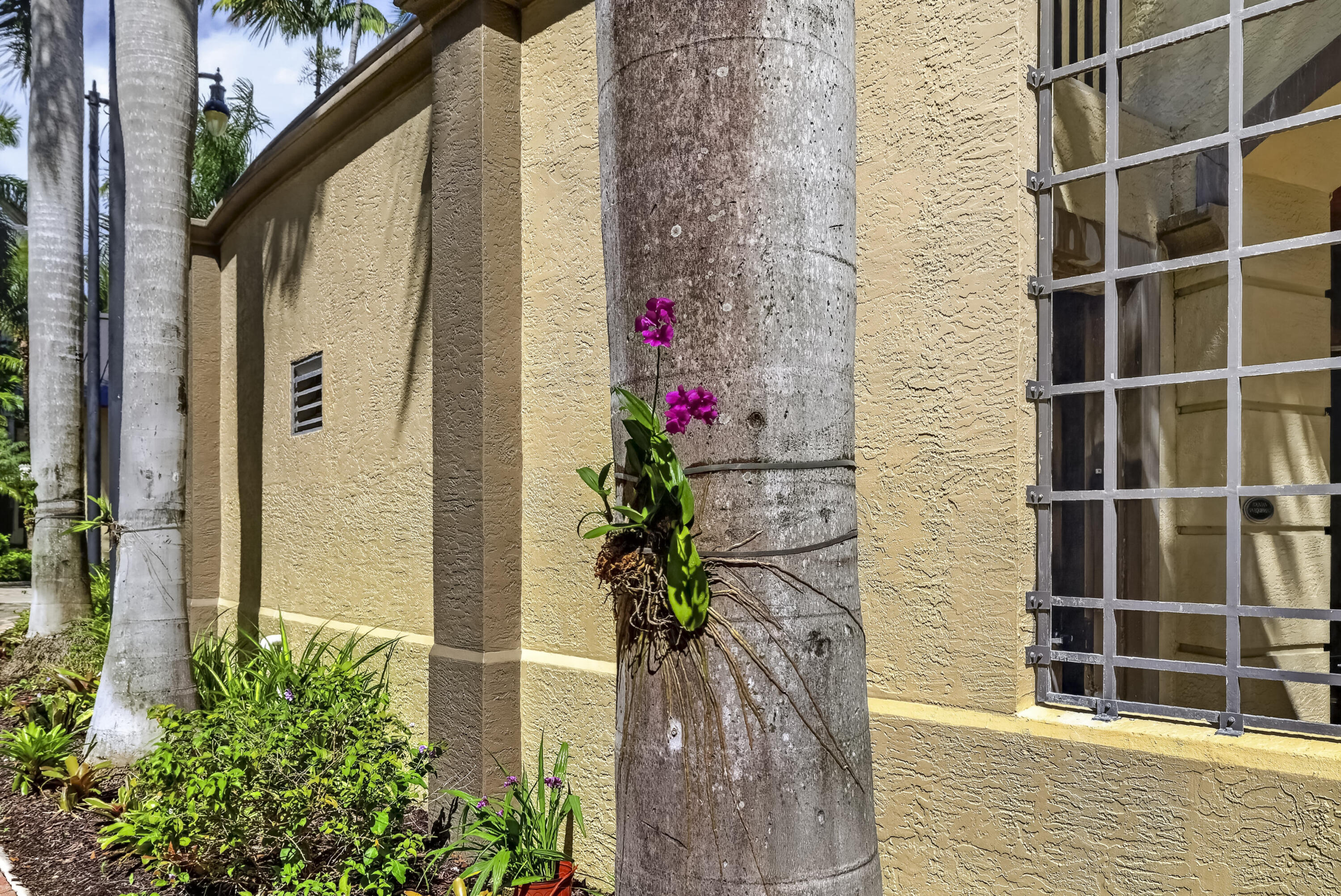 Tropical landscaping throughout the Village lane