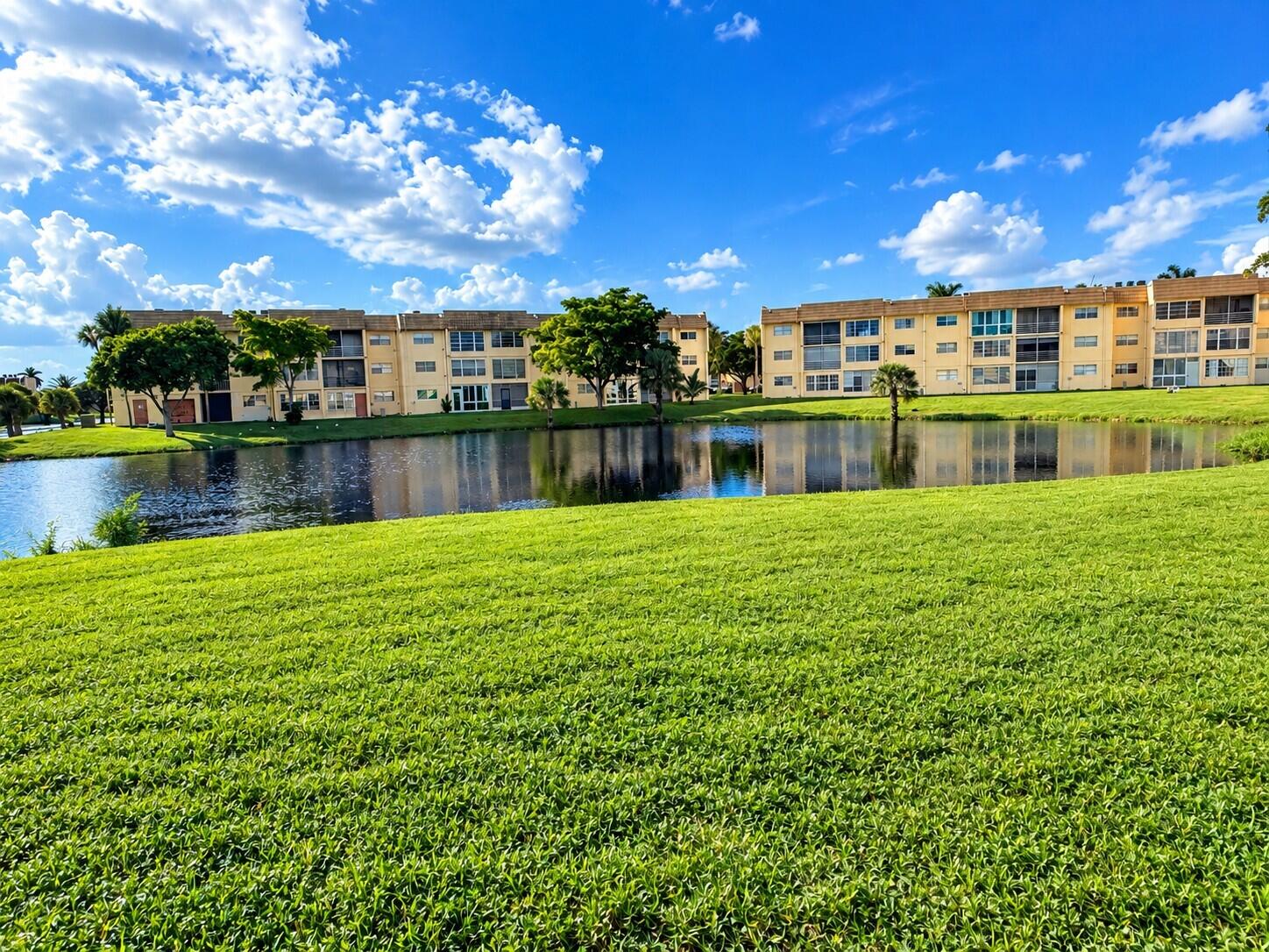 Backyard Pond and Apartments