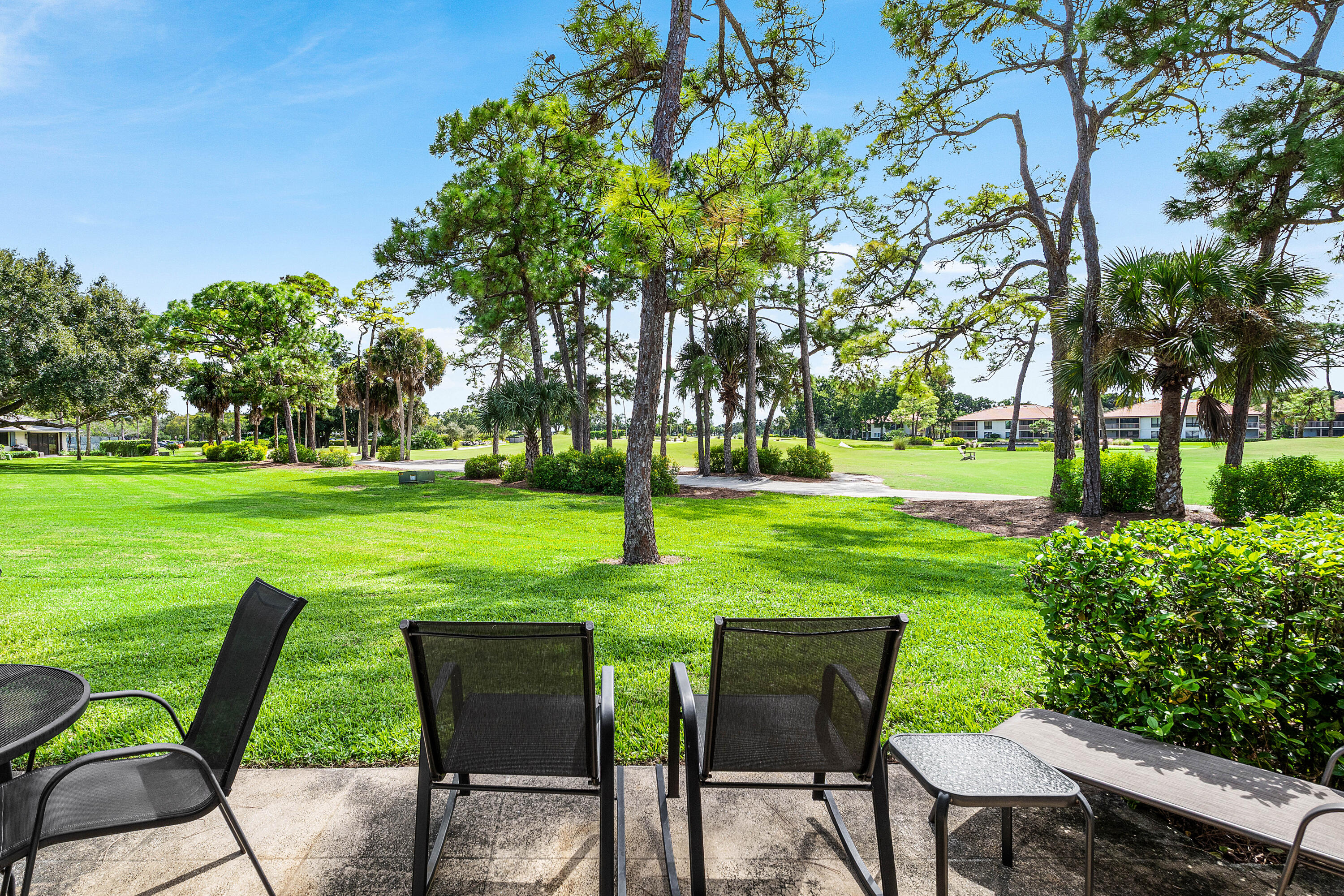 Concrete patio overlooking a sprawling lawn with mature trees and native landscaping