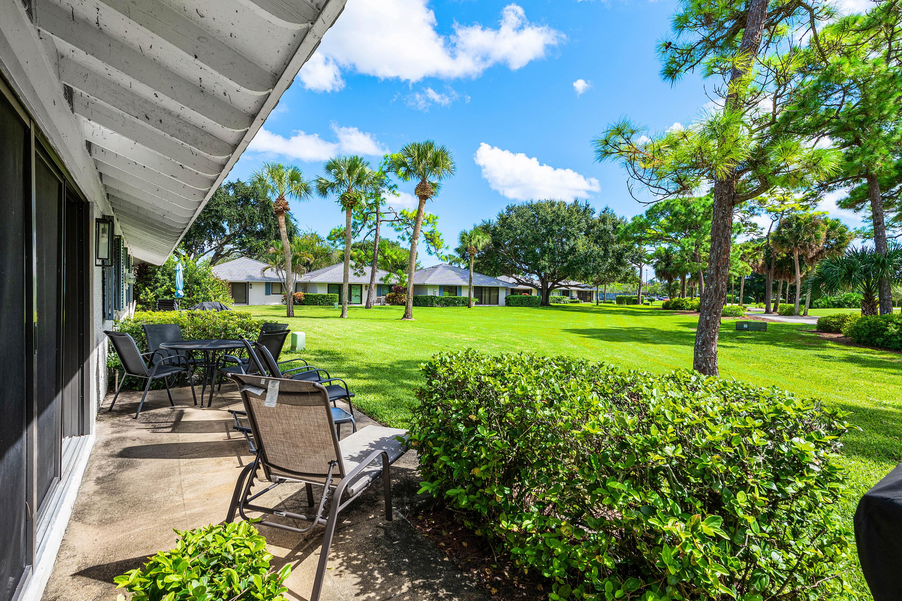 Covered concrete patio with sliding glass door access, overlooking an expansive lawn featuring mature trees and established palm plantings