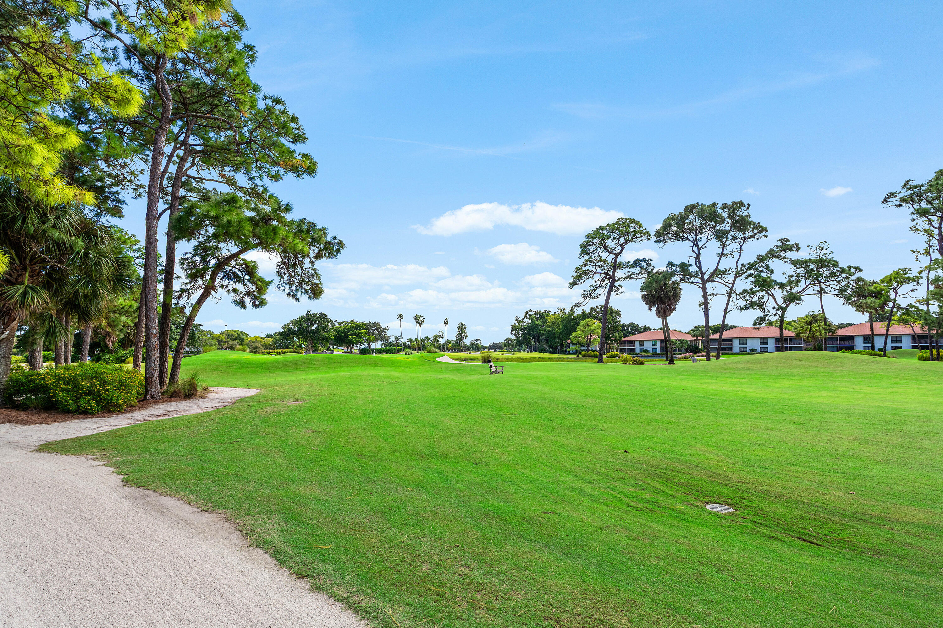 Expansive green space featuring mature pine trees, manicured turf, and a crushed stone path