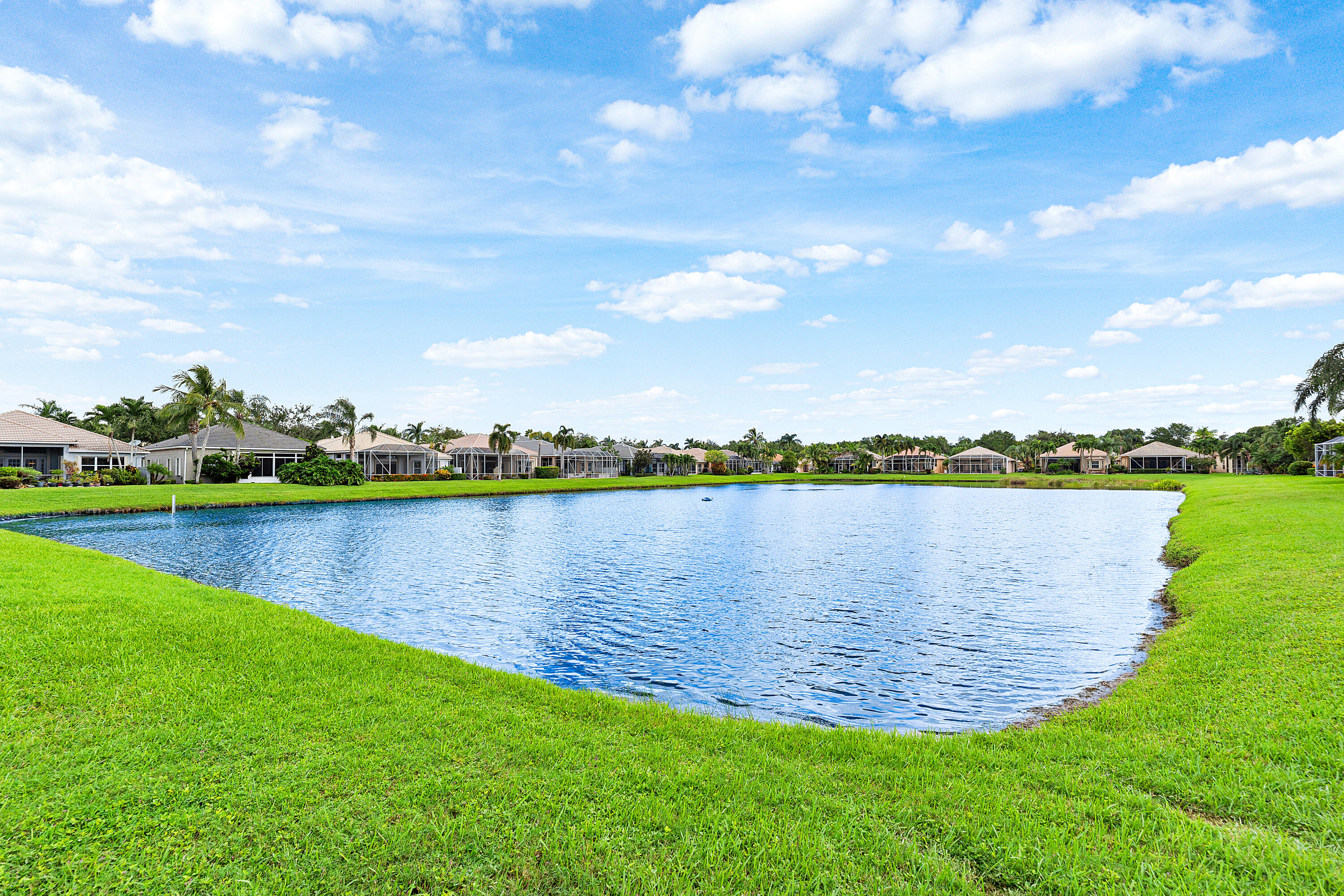 Long Lake View