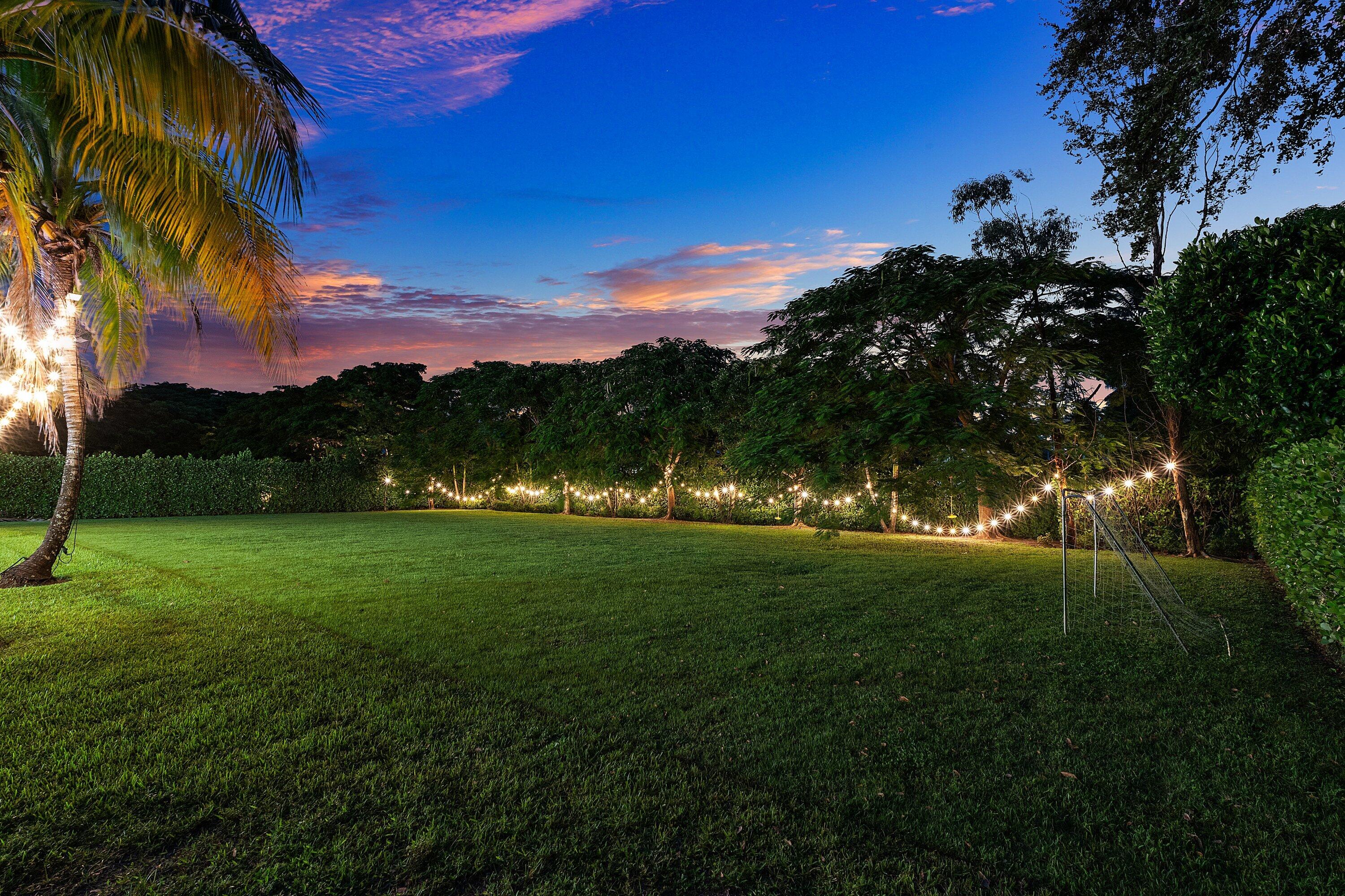 Twilight - Backyard