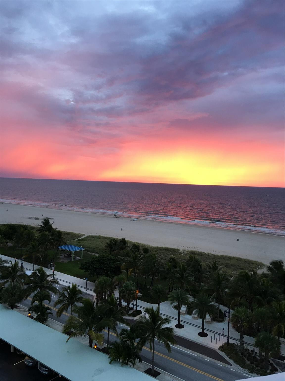 Panoramic ocean horizon with expansive coastal shoreline and mature palm tree landscaping