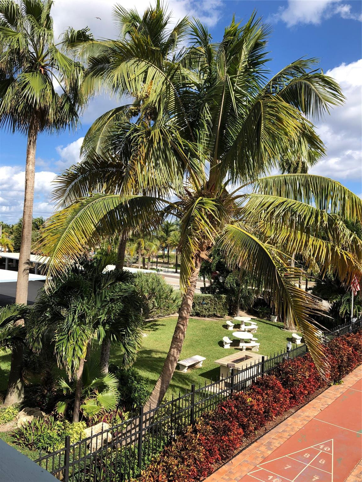 Landscaped grounds featuring mature palm trees, manicured lawn, stone-topped seating areas, ornamental metal fencing, and a shuffleboard court