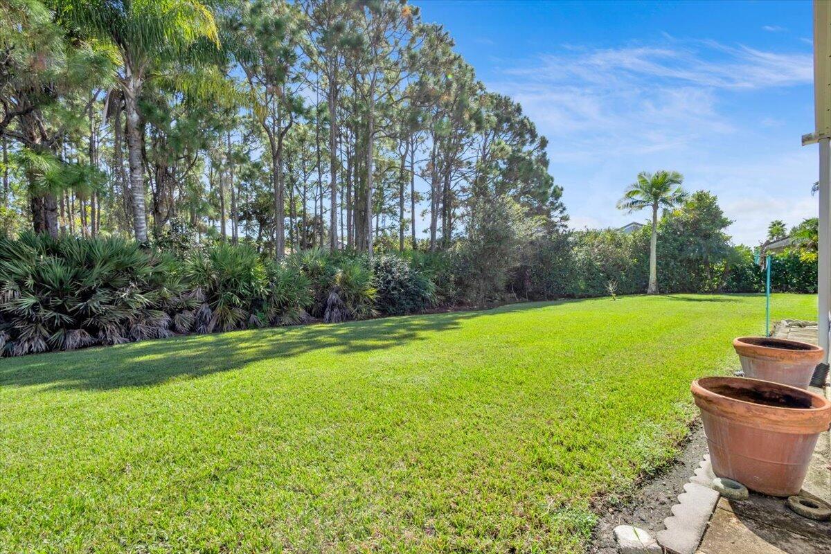 Back Yard Preserve View