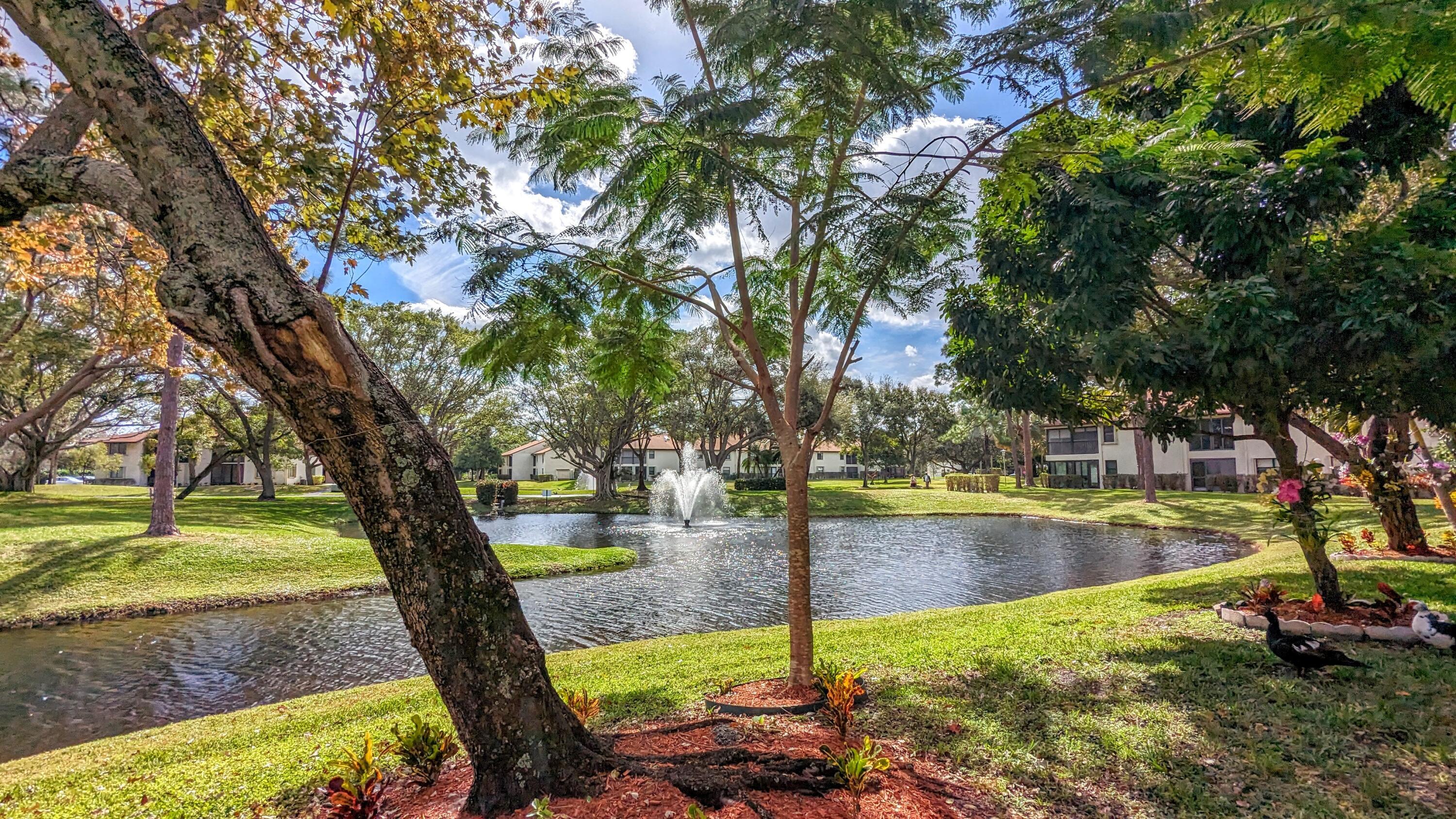 View from front porch