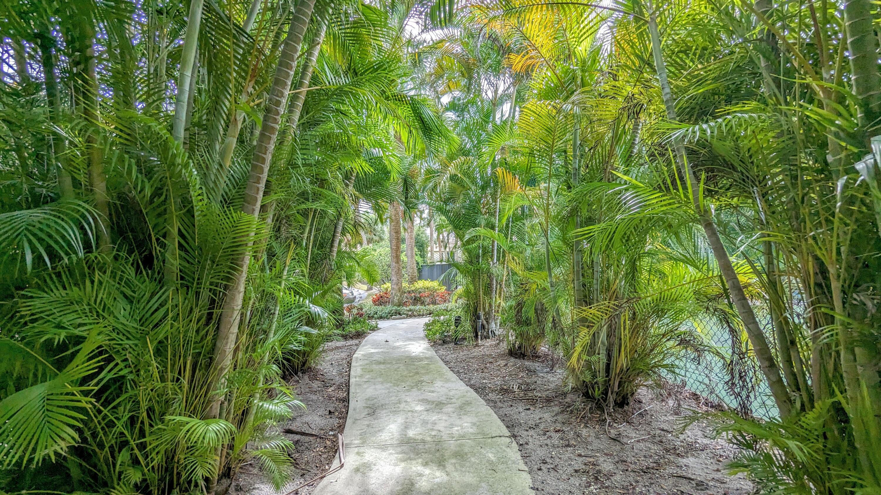 Path to clubhouse