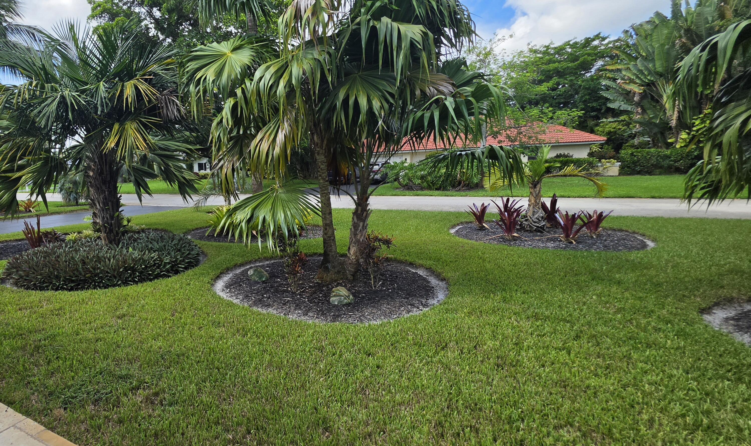 front yard