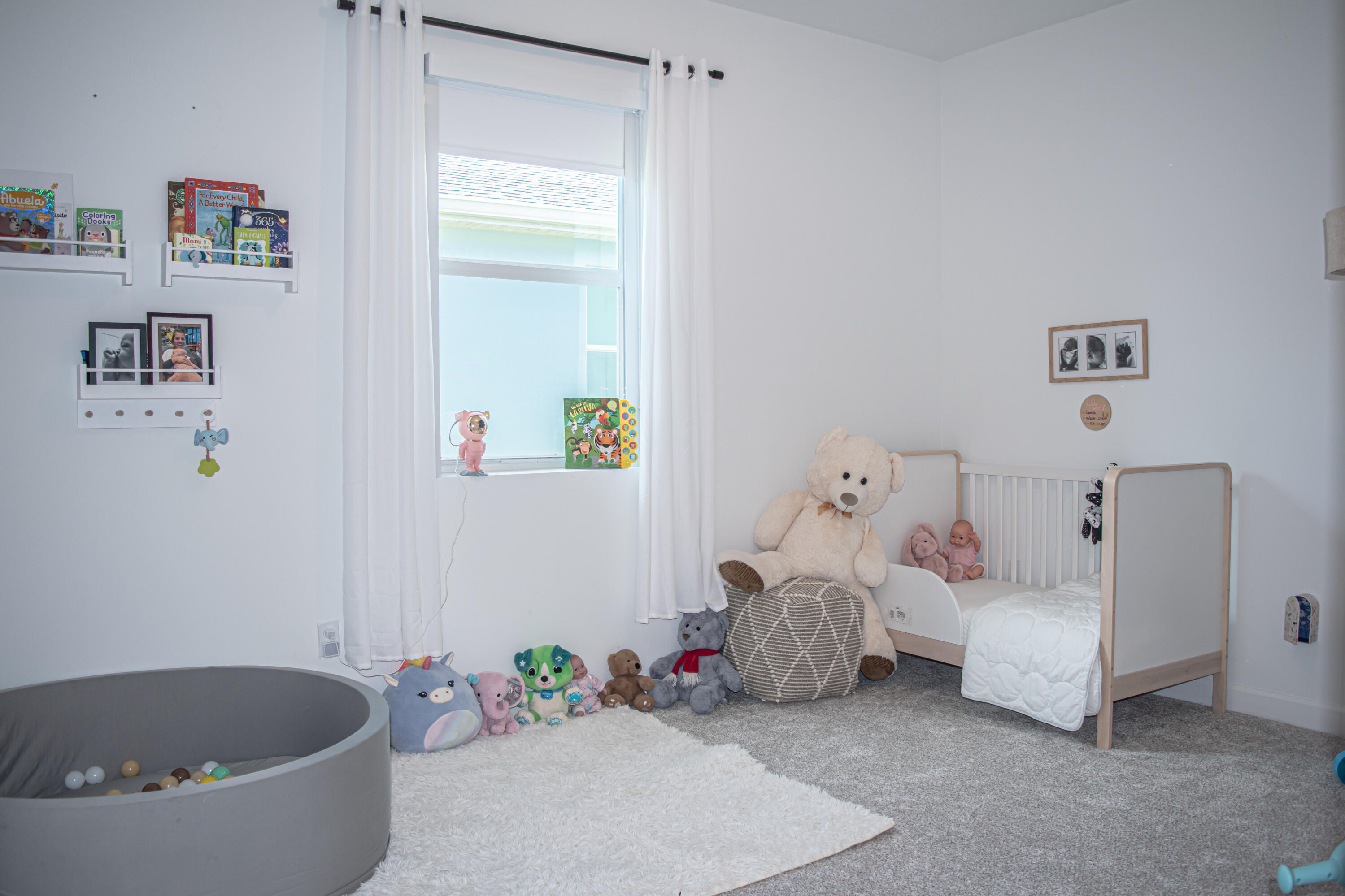 Neutral-toned wall-to-wall carpeting, window with central sill, and wall-mounted shelving units