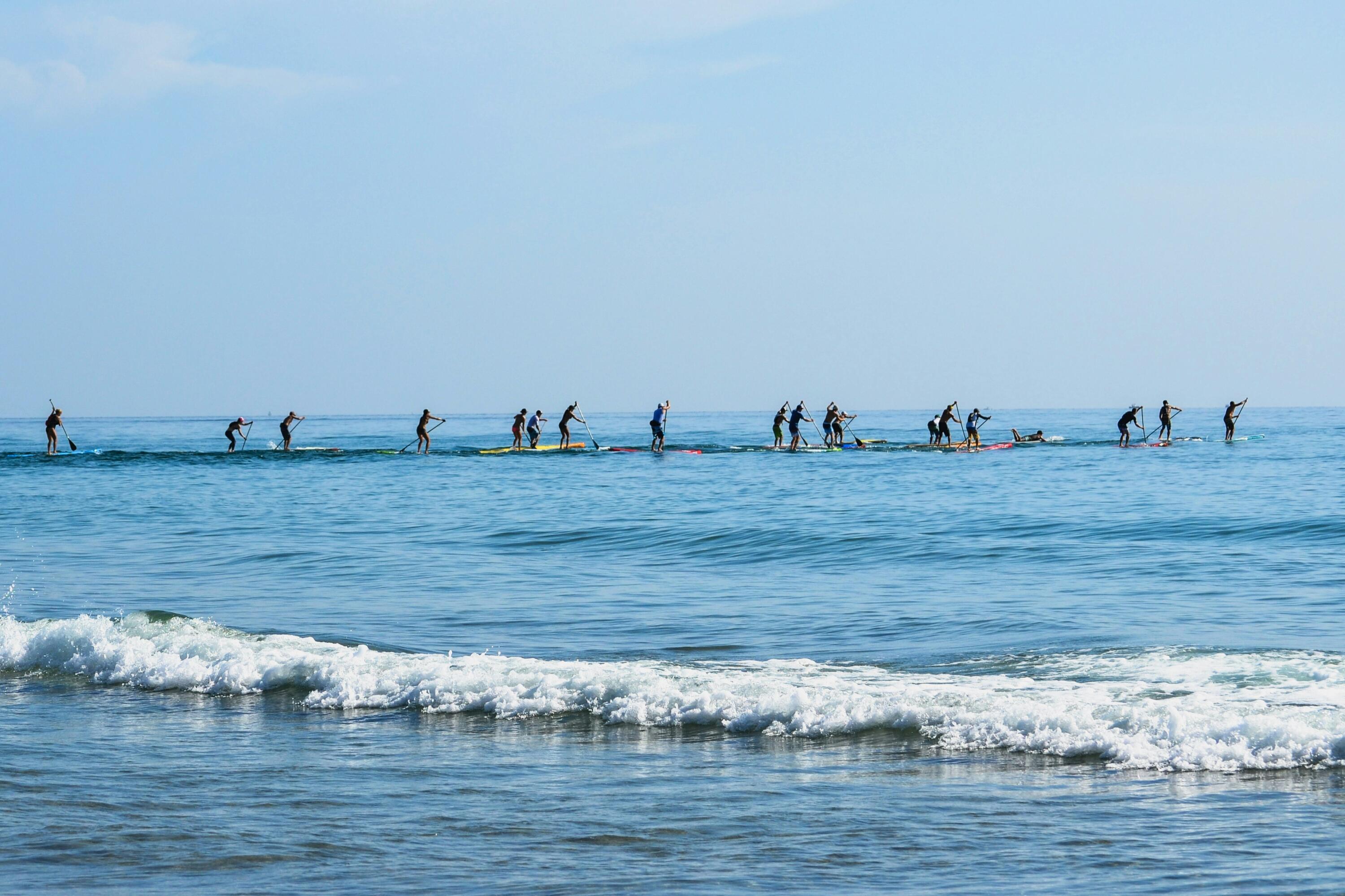 debby-hudson-oYkjGQm58LY-unsplash