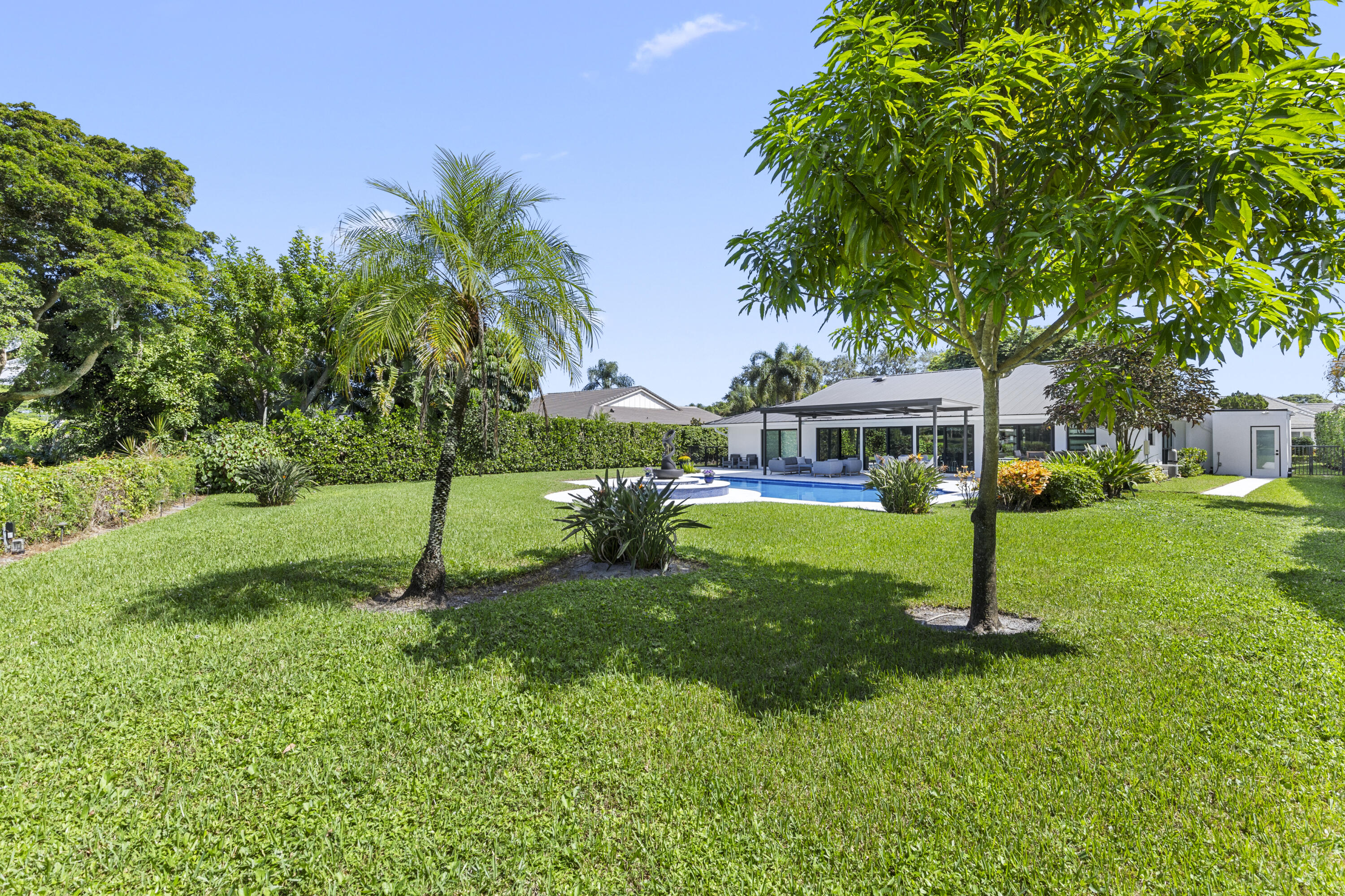 Backyard