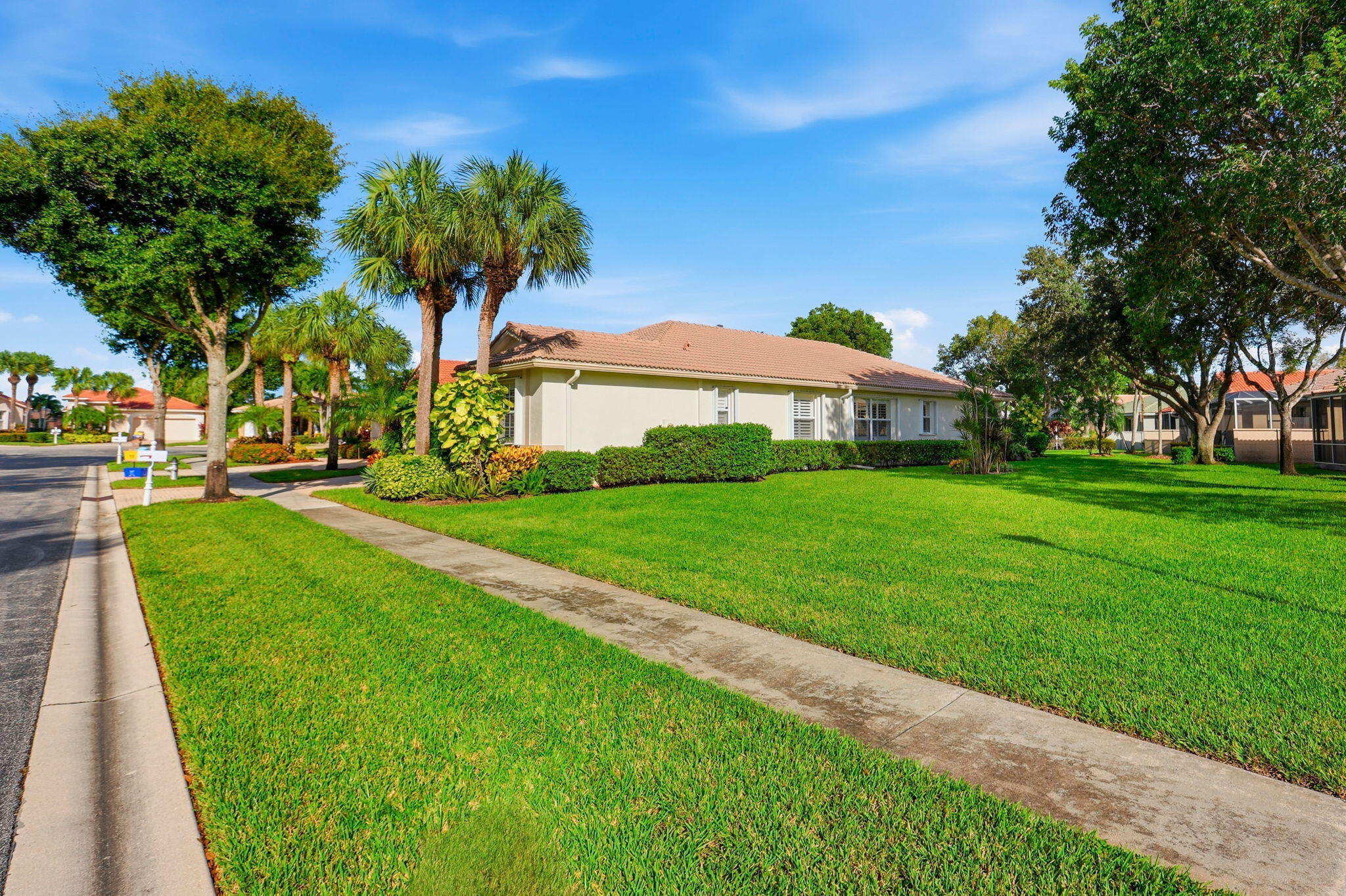 Side yard