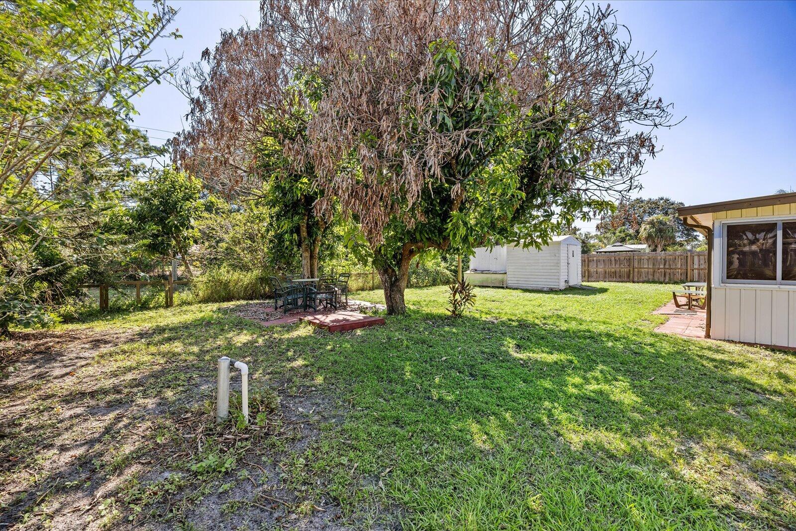 Expansive backyard featuring mature trees, a detached storage structure, and paver patio areas