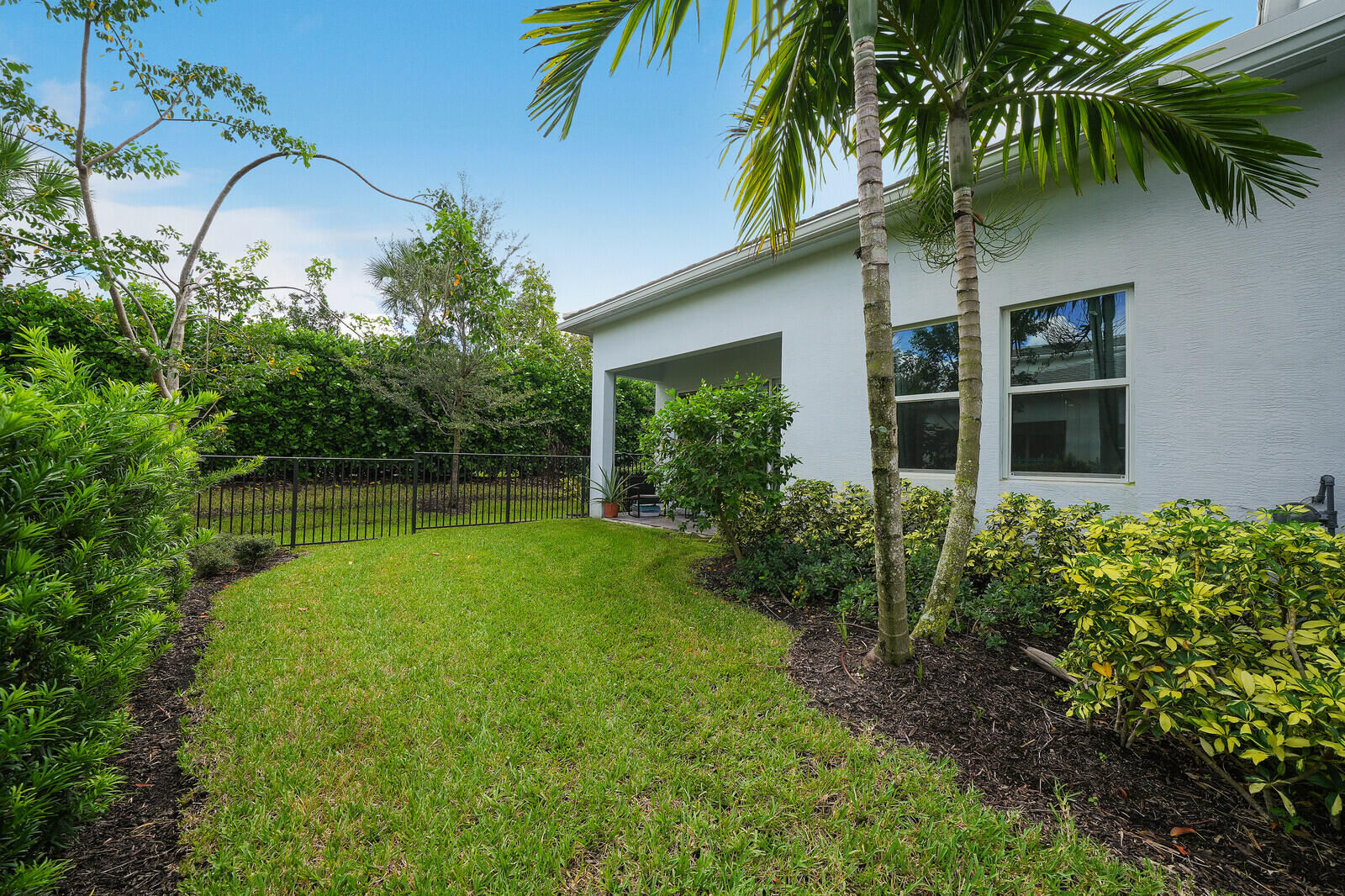 Full functional backyard