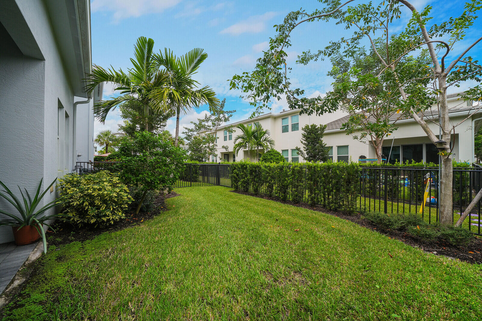 Backyard featuring a manicured lawn, established palm trees, trimmed hedge perimeter, and metal fencing