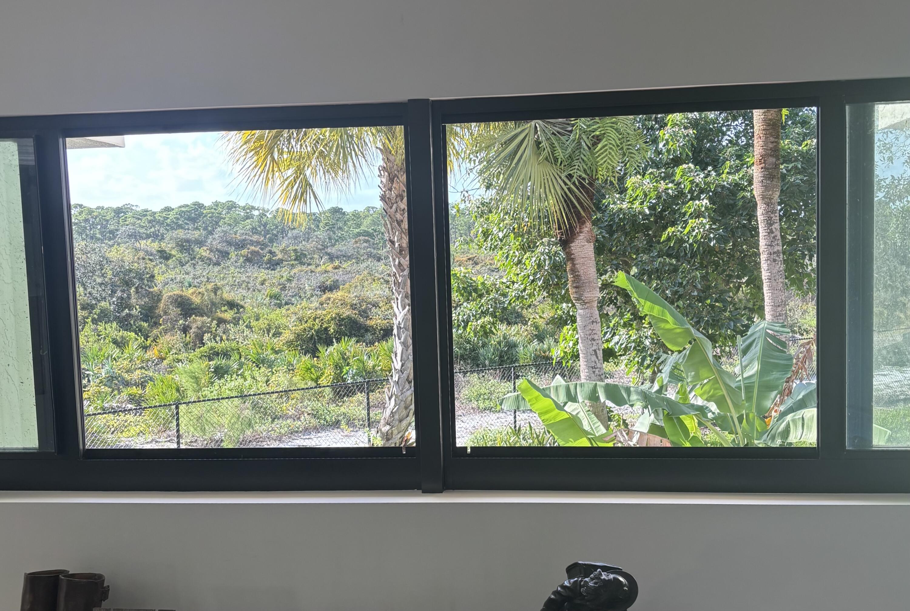 living room view