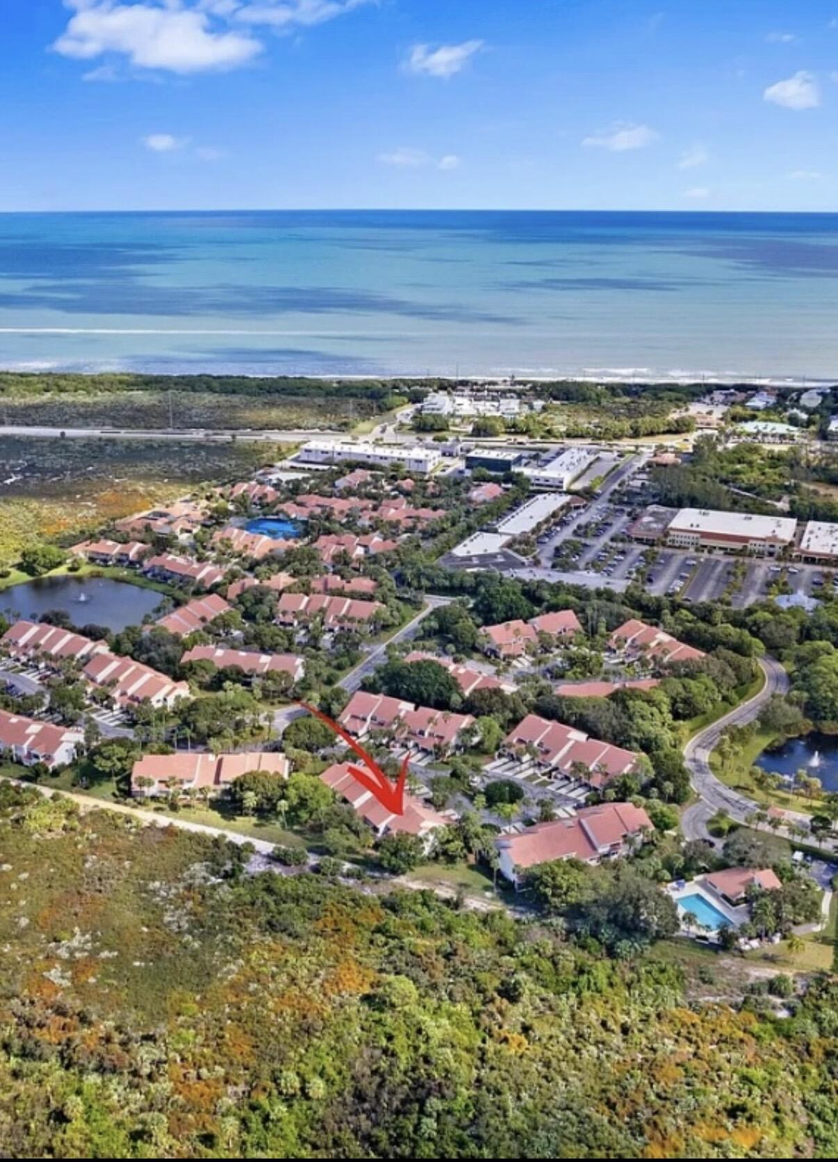 JUNO ARIEL SEA OATS VIEW