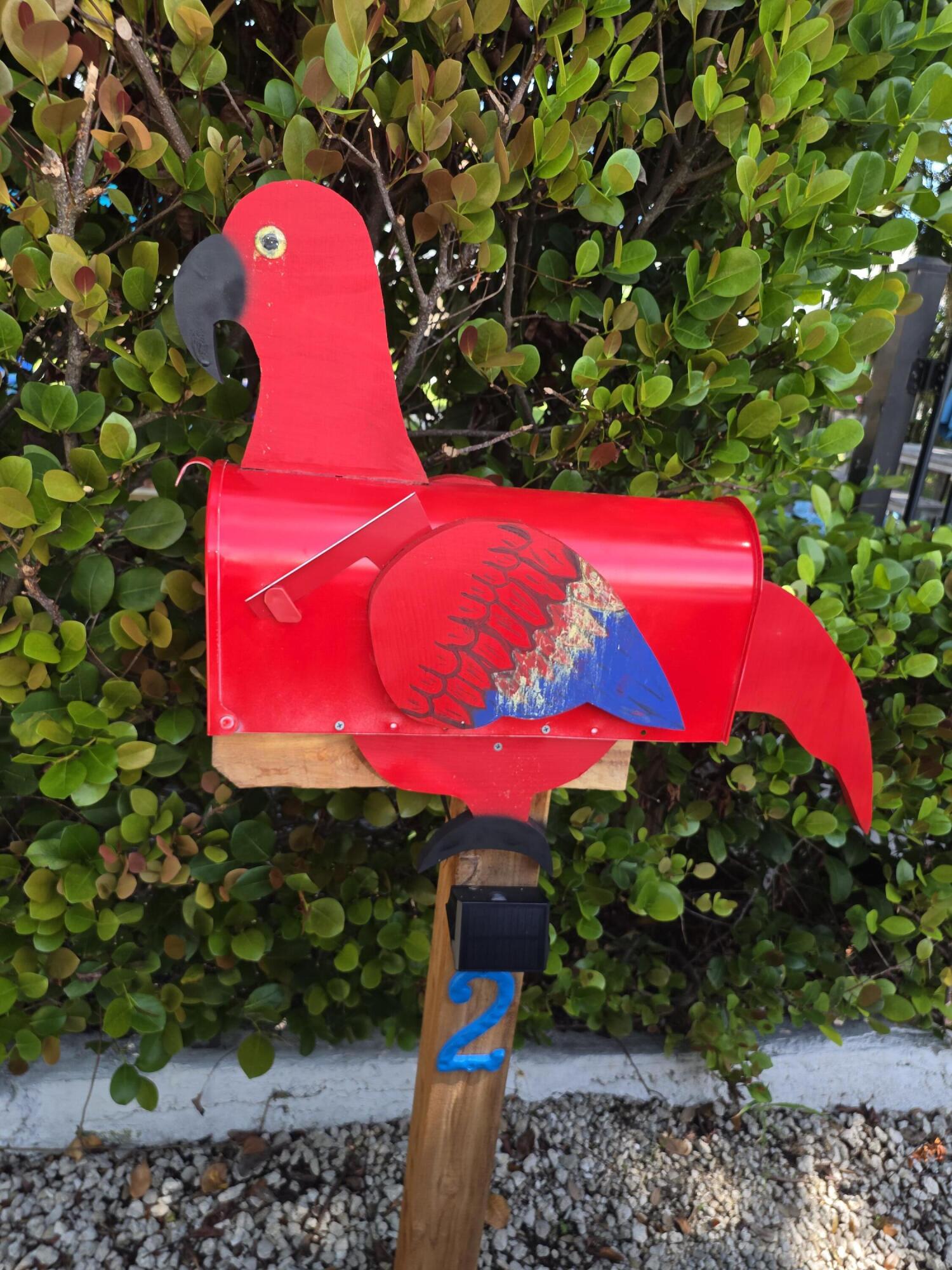 parrot mailbox decor
