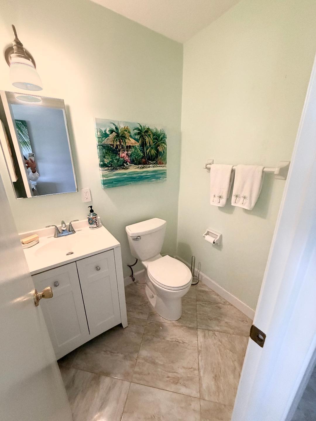 Guest bathroom