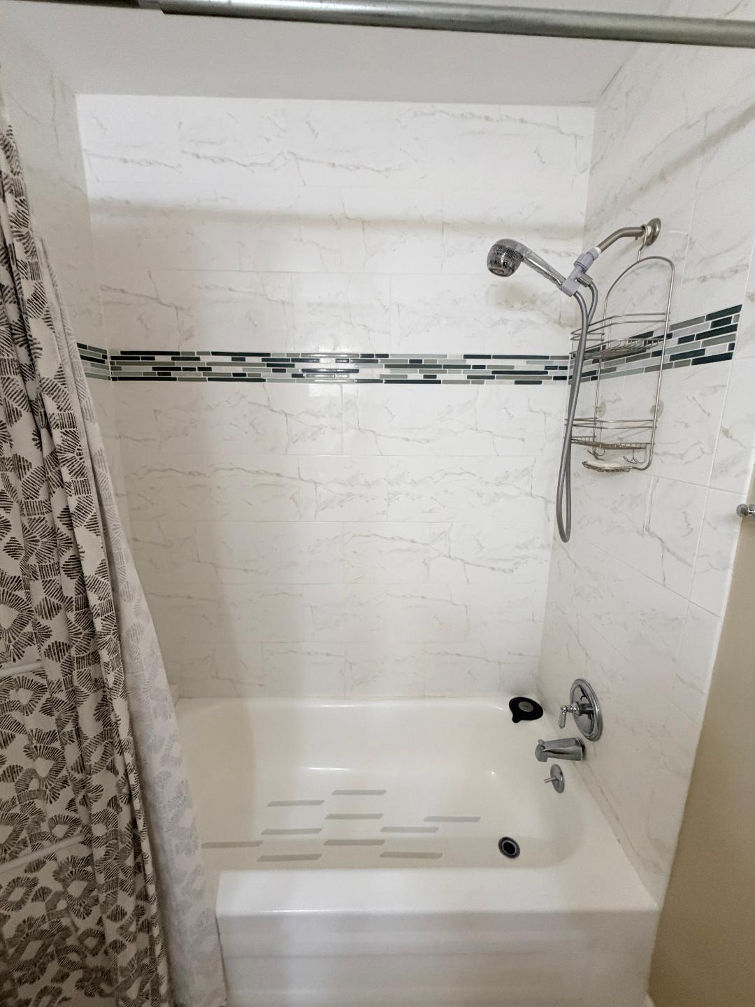Master bathroom shower