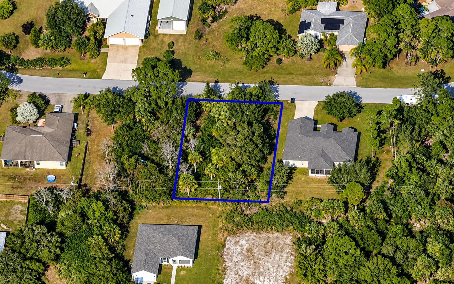 Blue-Bordered Wooded Lot Aerial View