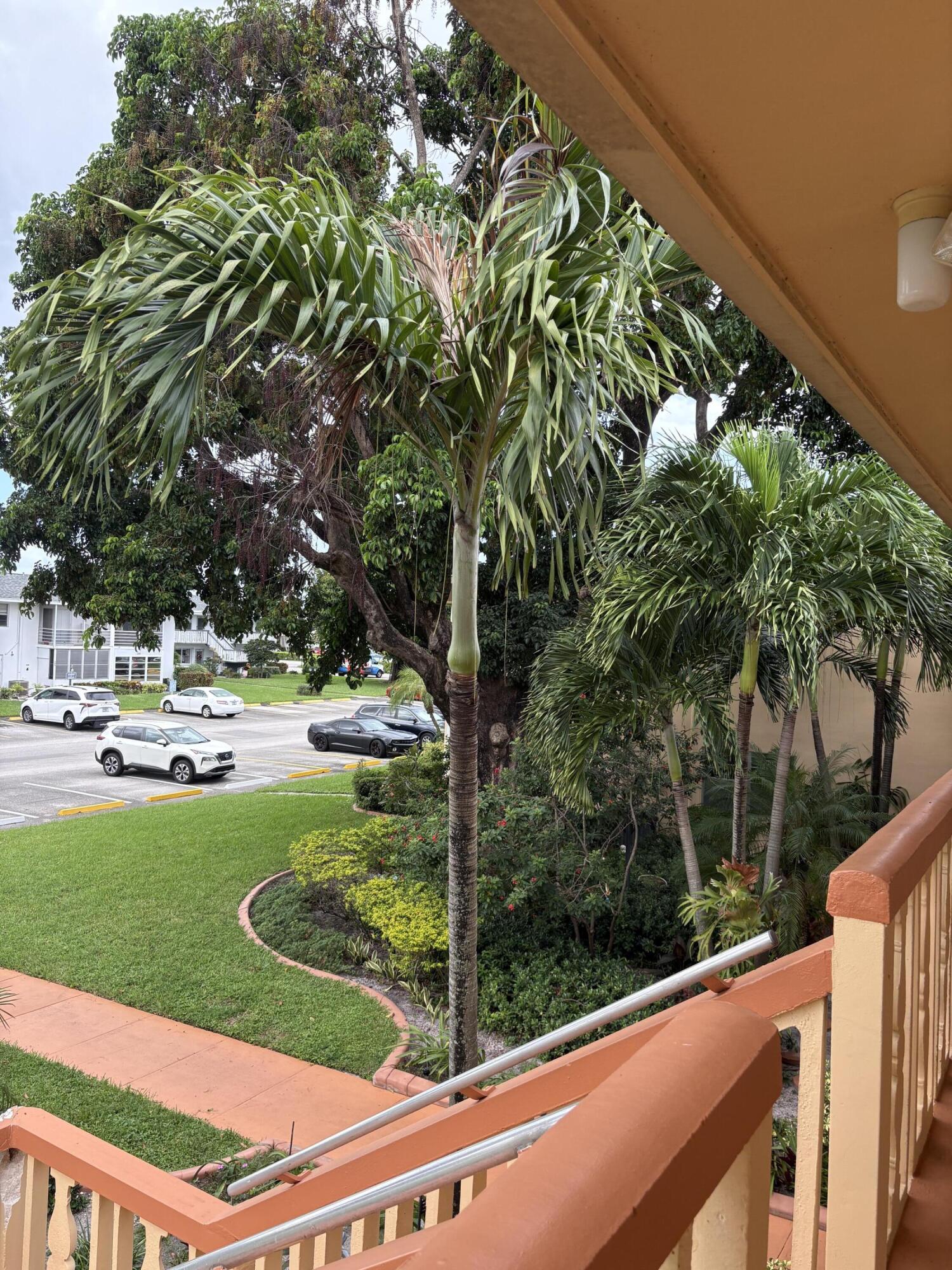 garden view