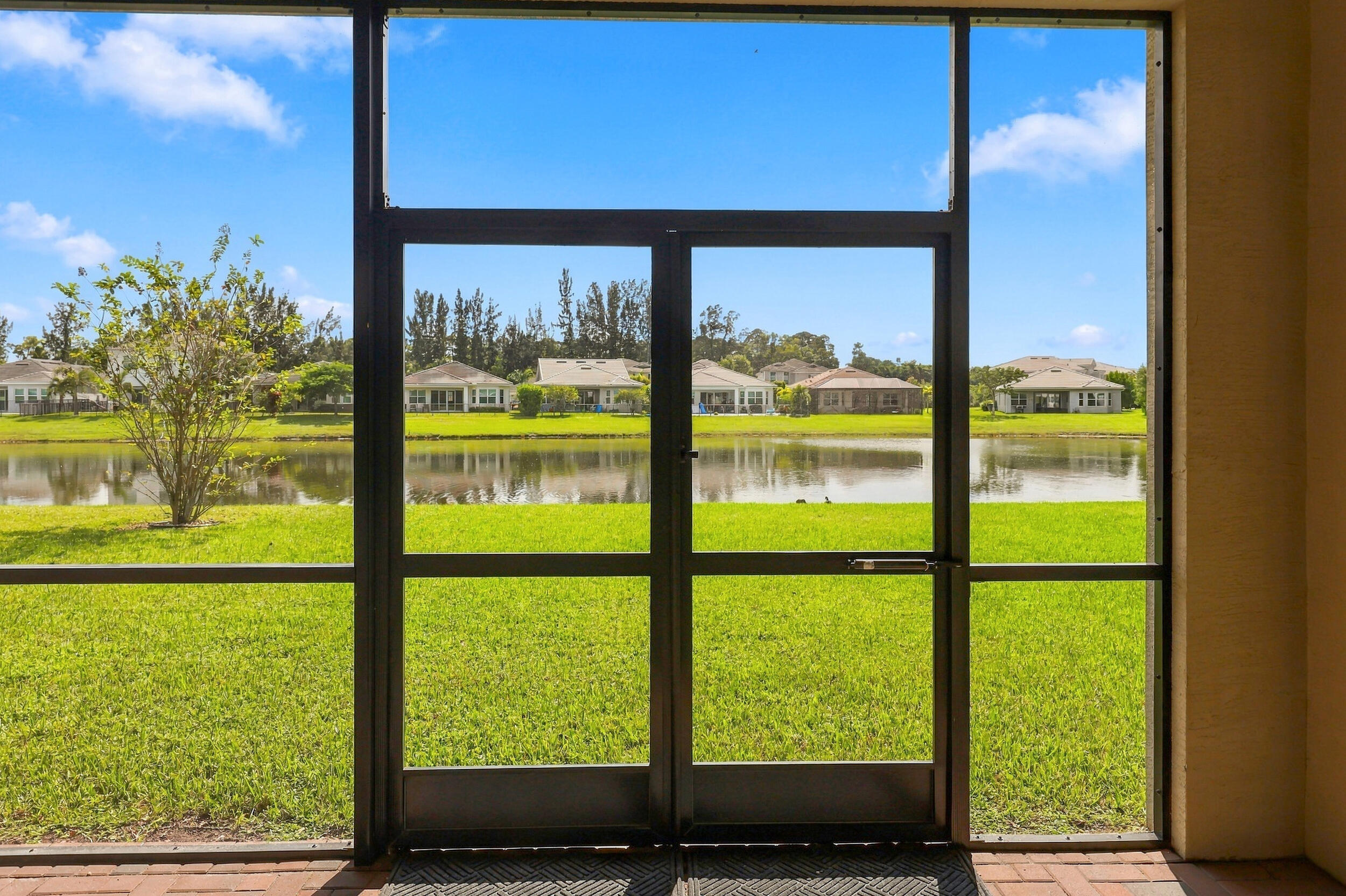 Lake view
