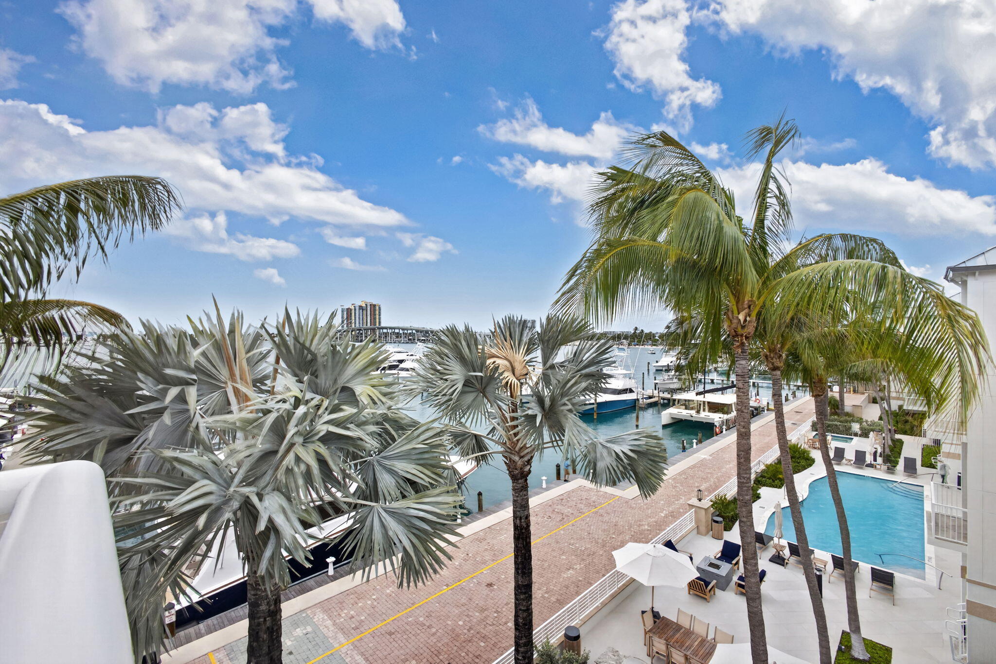 28-web-or-mls-5D1A2883