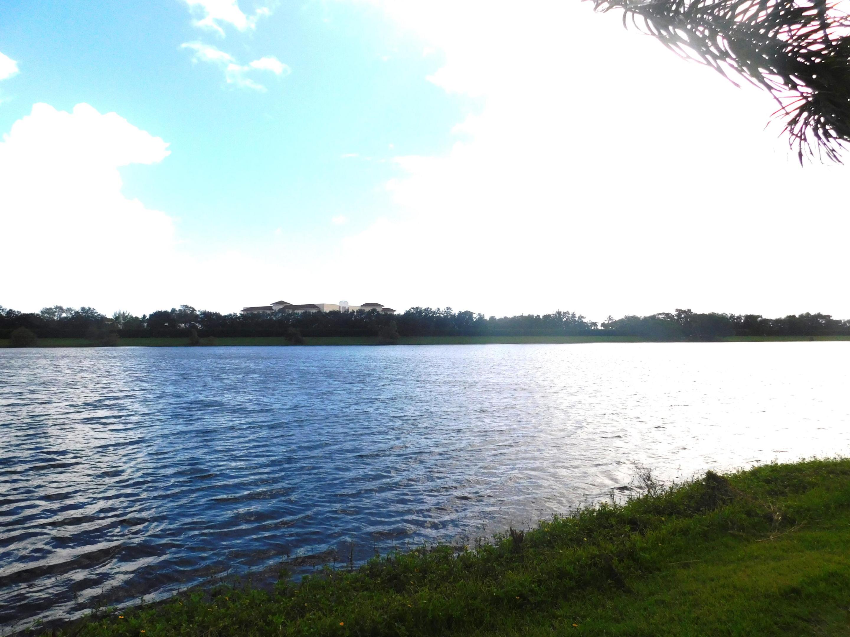 Backyard view