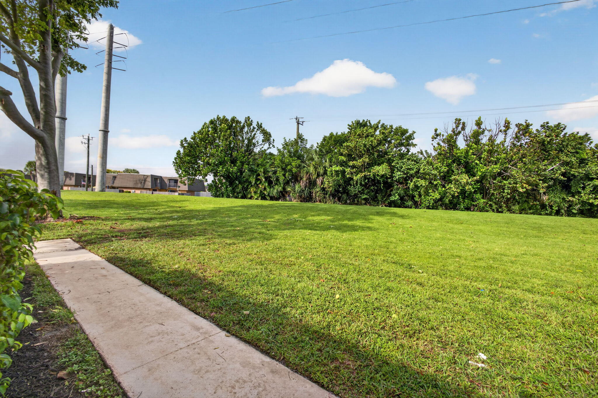 6-web-or-mls-5D1A0414