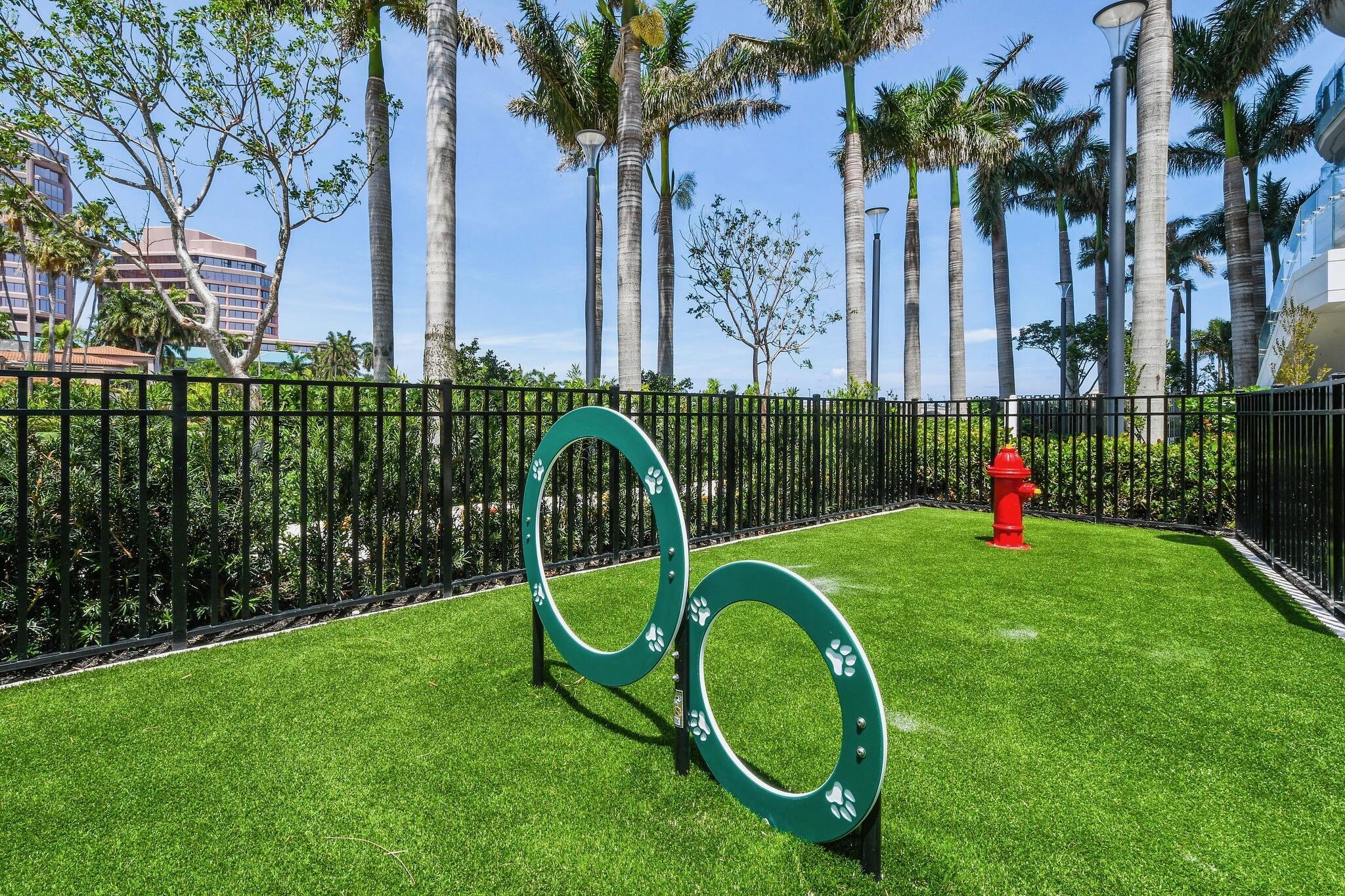 Dog Park